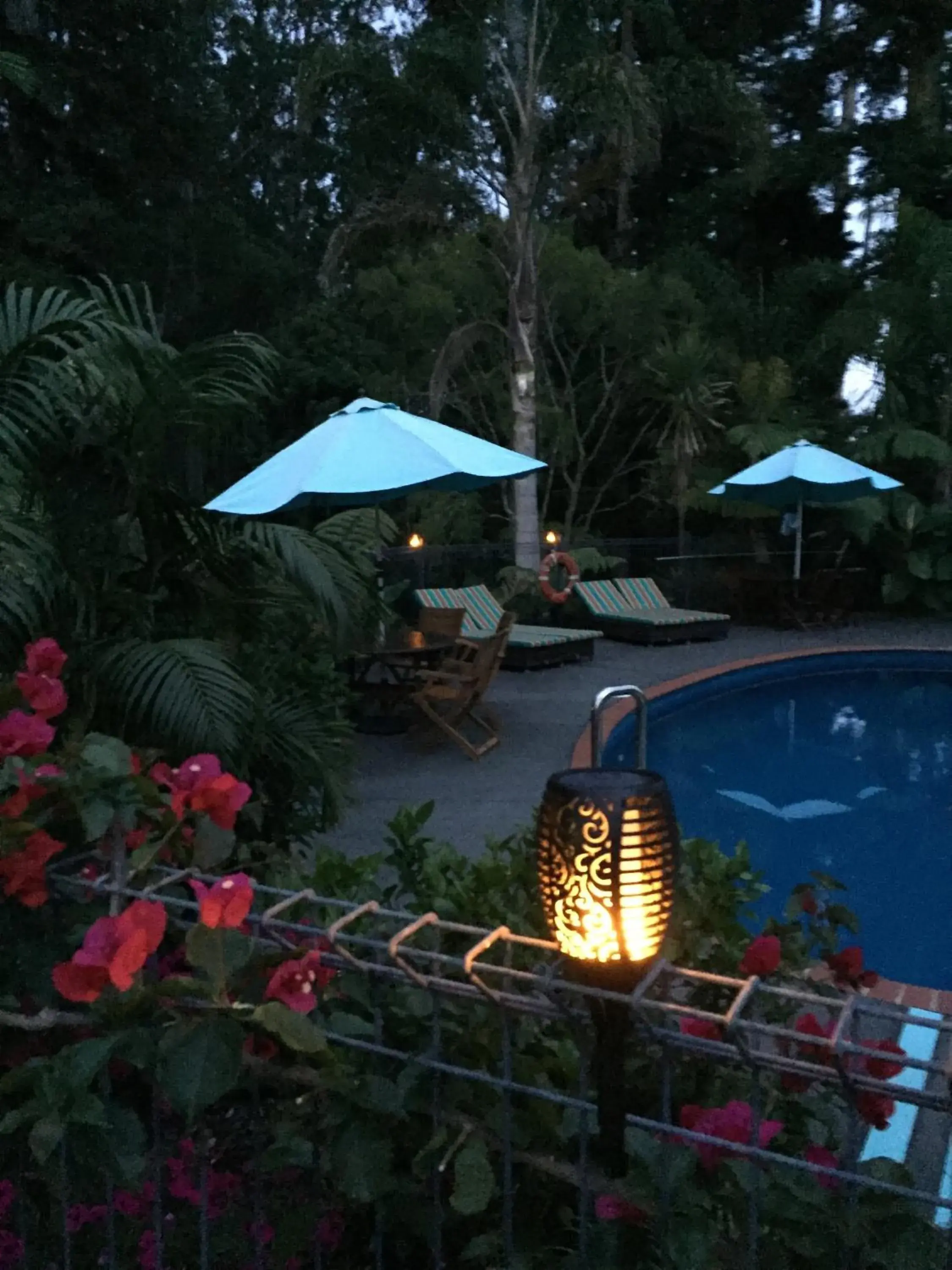 Swimming Pool in Stay Kerikeri