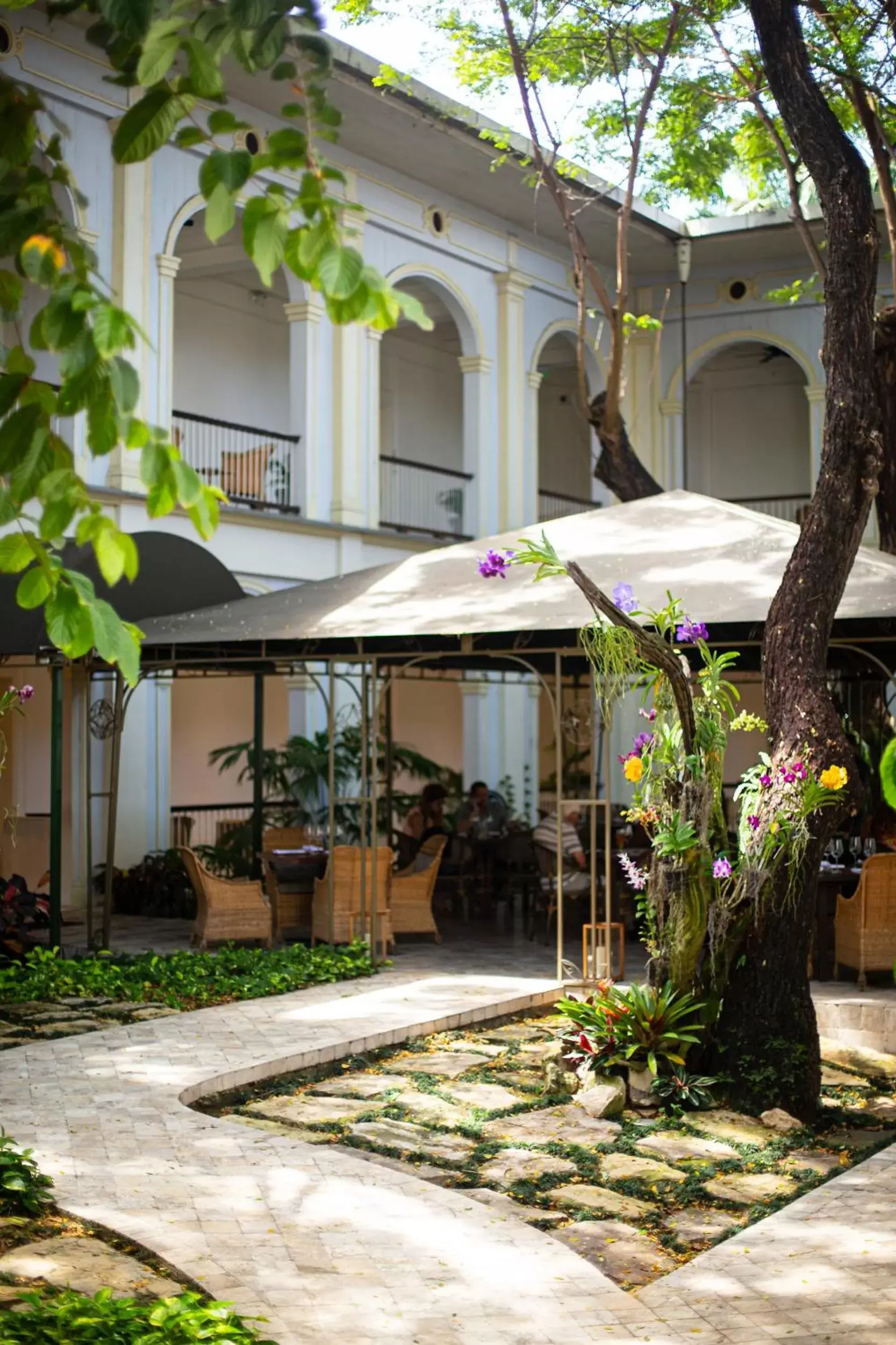 Patio, Property Building in Hotel del Parque