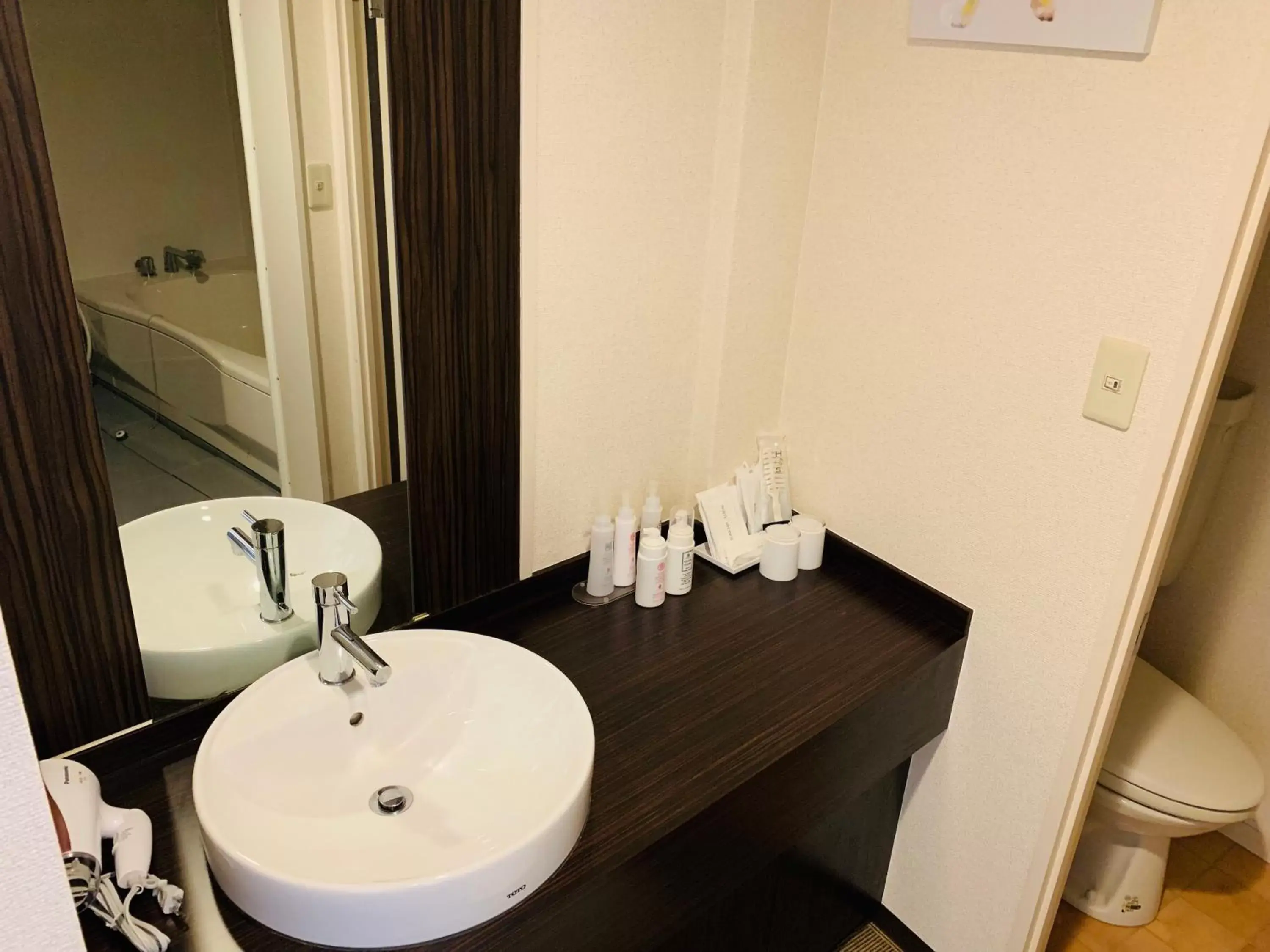 hair dryier, Bathroom in Hotel TRW