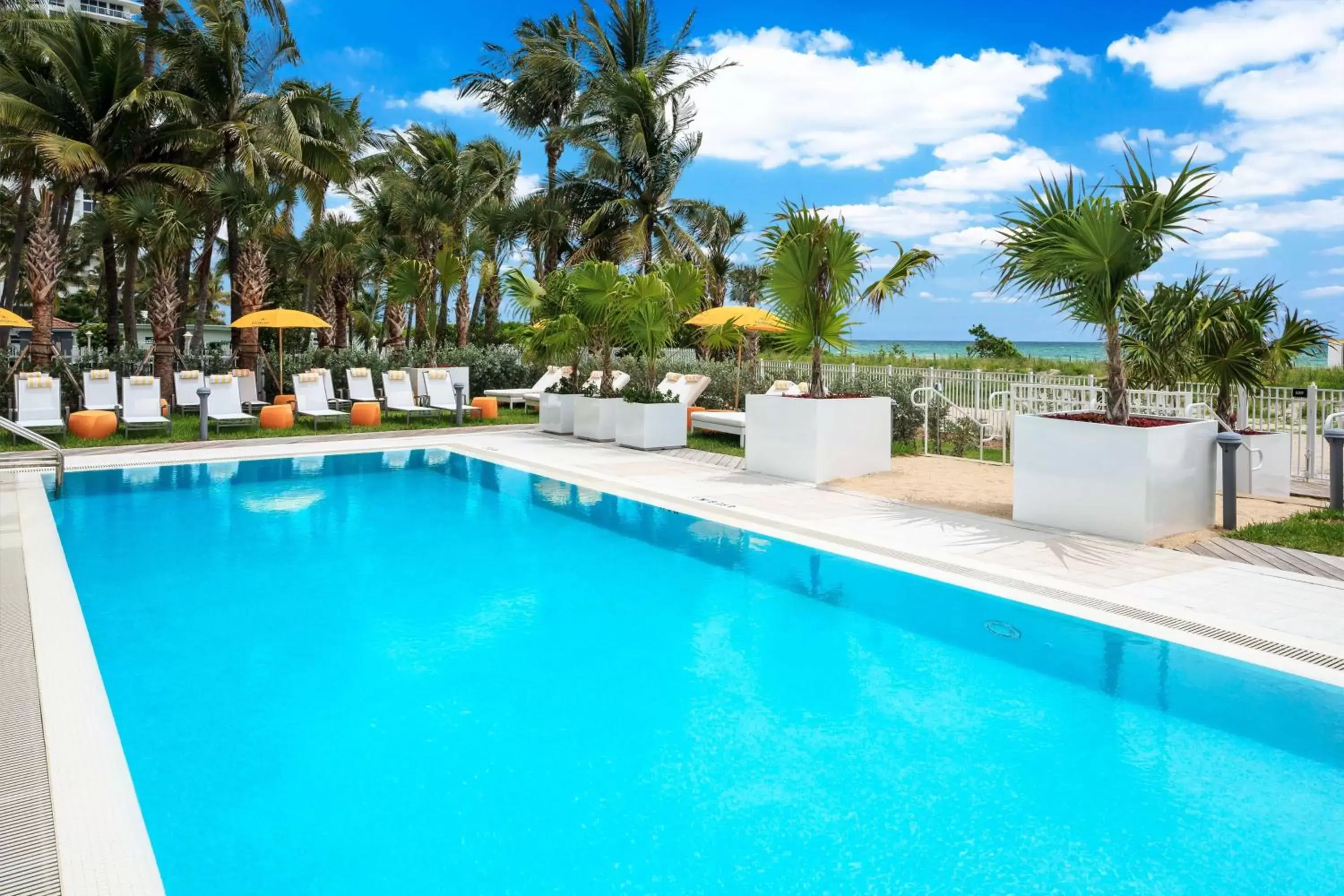 Pool view, Swimming Pool in Hilton Cabana Miami Beach