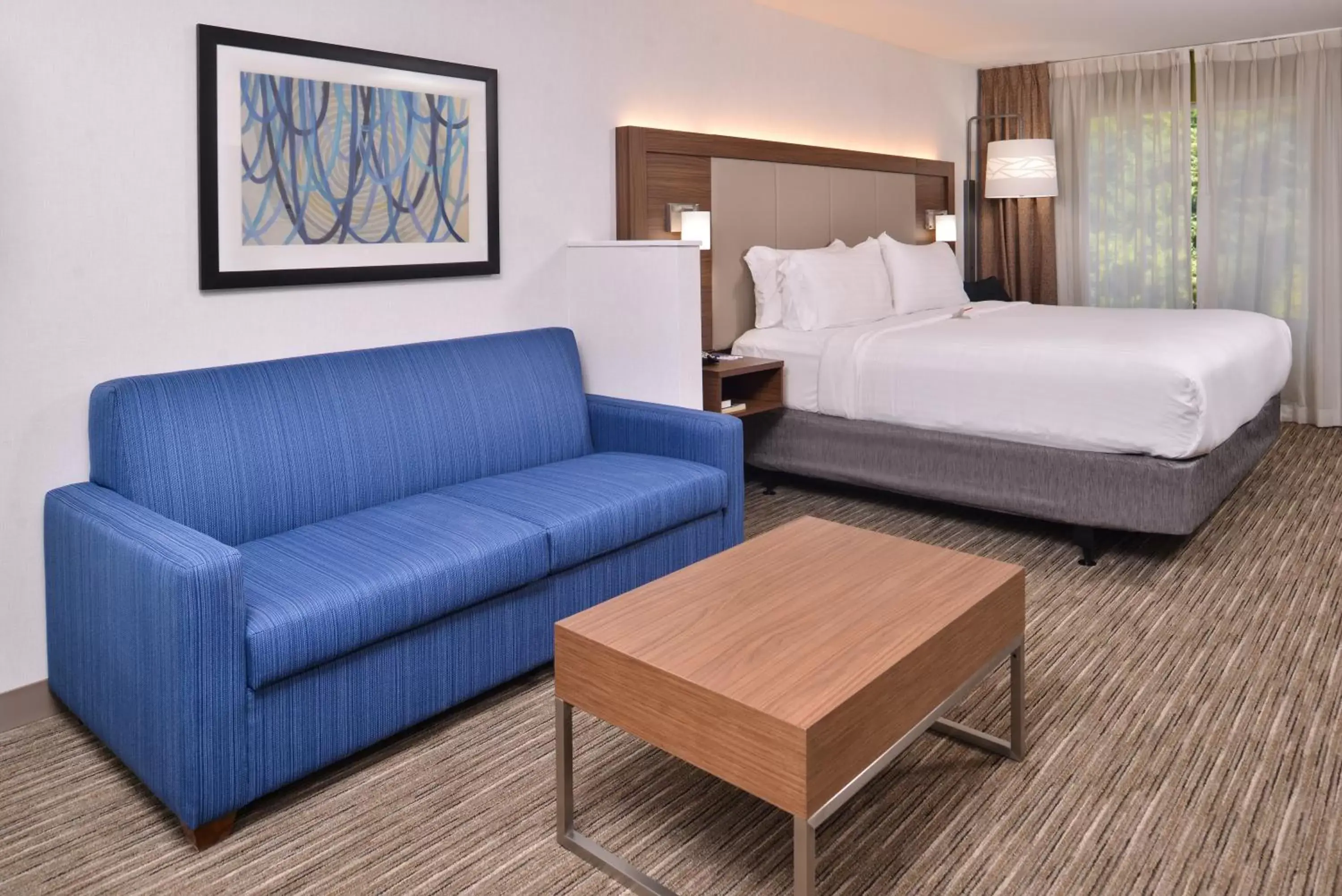 Photo of the whole room in Holiday Inn Express Hotel & Suites Lacey, an IHG Hotel