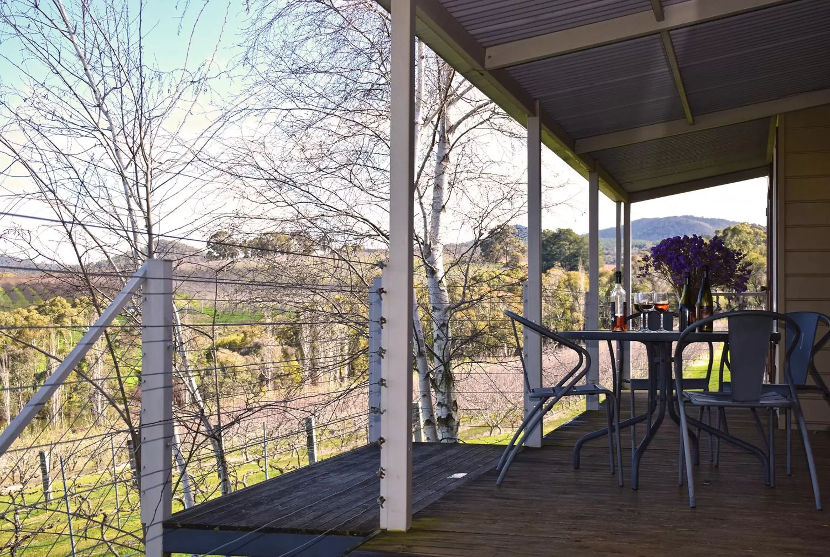 Balcony/Terrace, Patio/Outdoor Area in Borrodell Vineyard