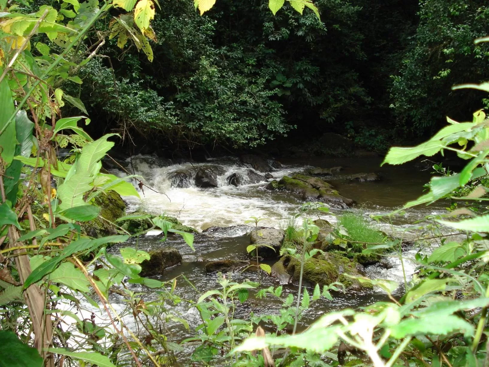 Nearby landmark in Koi Koi, Fort Portal