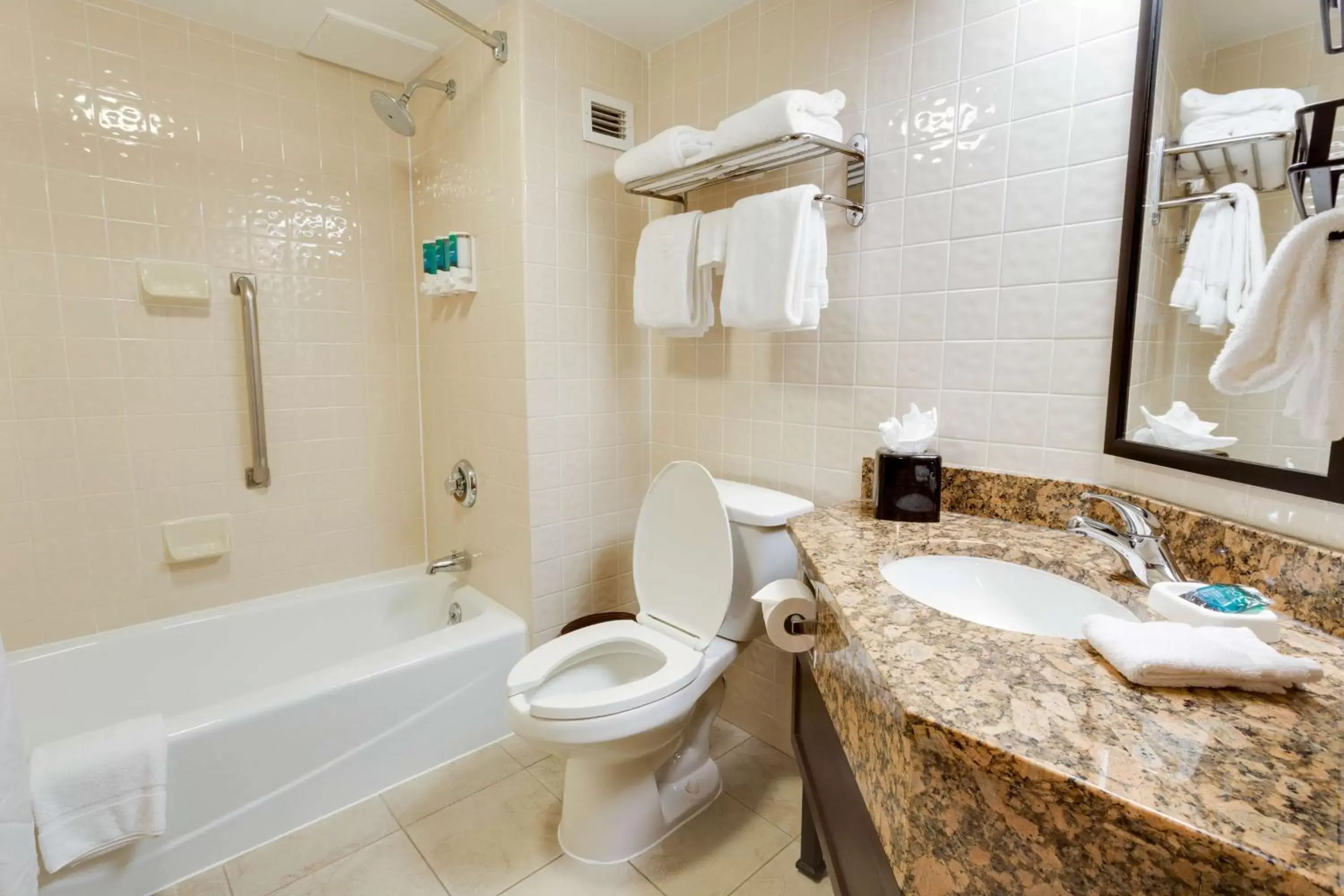 Bathroom in Drury Inn & Suites San Antonio Northeast