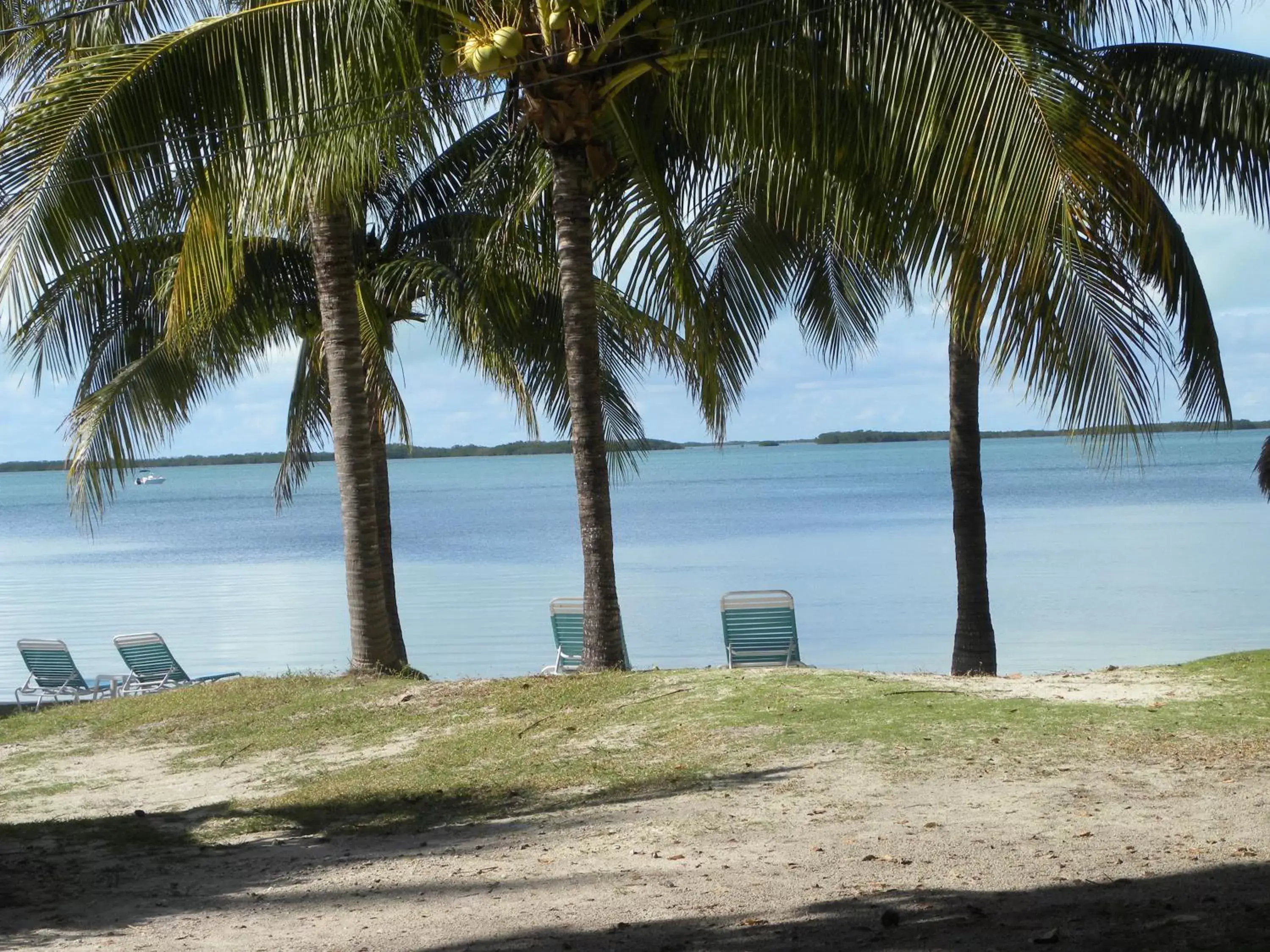 Sea view, Beach in Rock Reef Resort