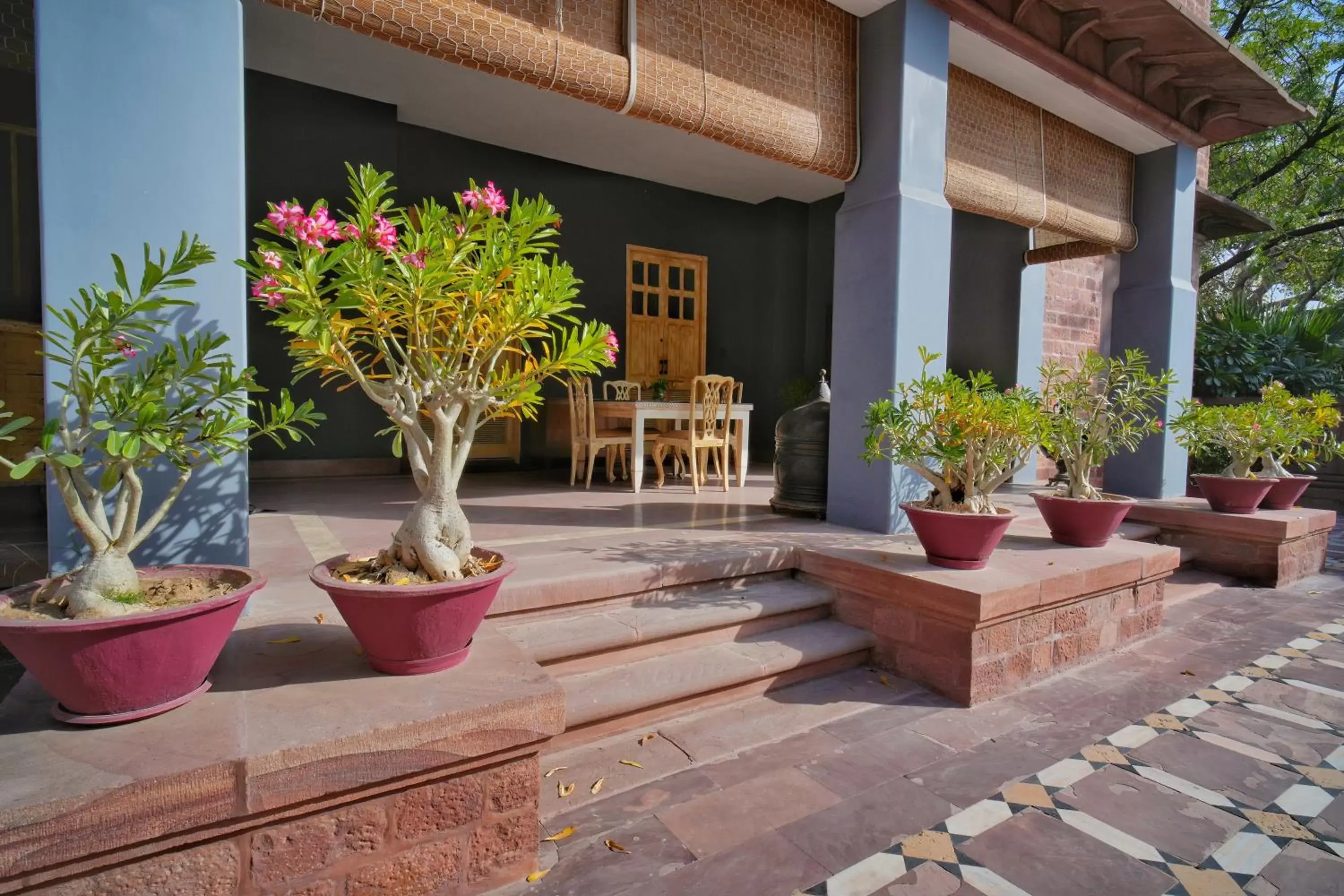 View (from property/room) in Ajit Bhawan - A Palace Resort View (from property/room) in Ajit Bhawan - A Palace Resort