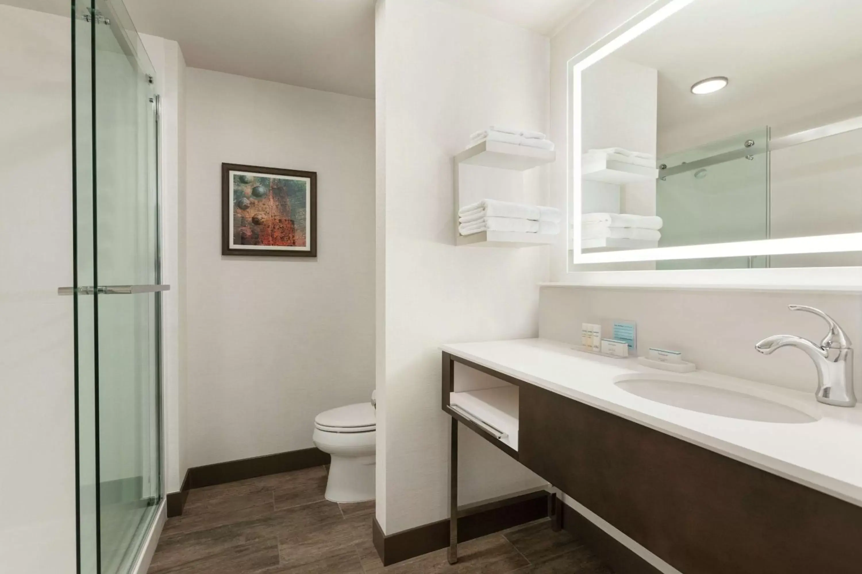 Bathroom in Hampton Inn Suites Kansas City Downtown Crossroads