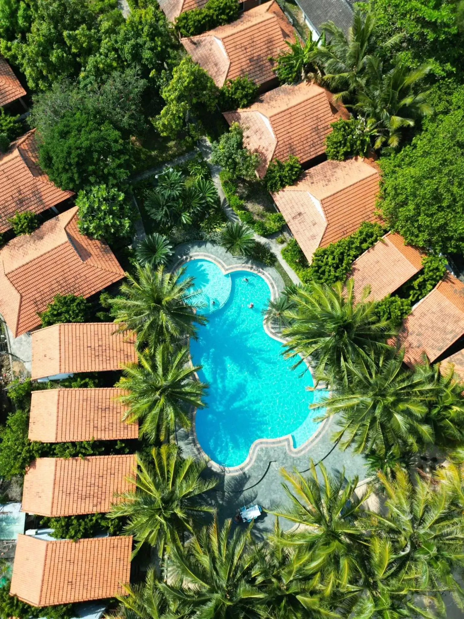 Pool View in Wildland Resort