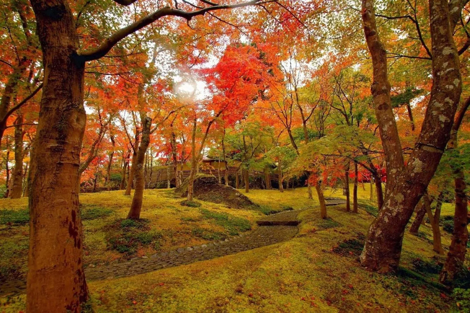 Autumn in Jemsty Inn Hakone Ashinoko