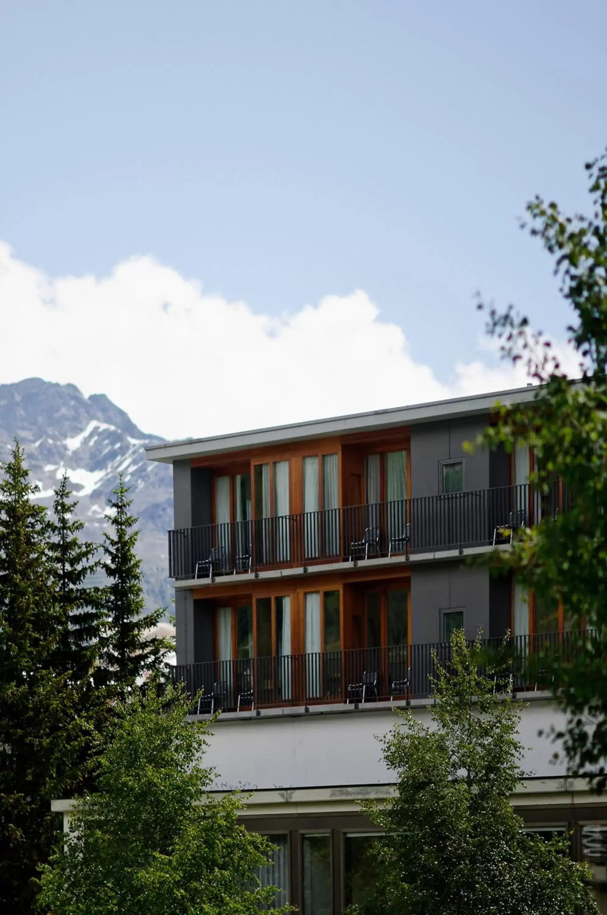 Facade/entrance, Property Building in Hotel Laudinella