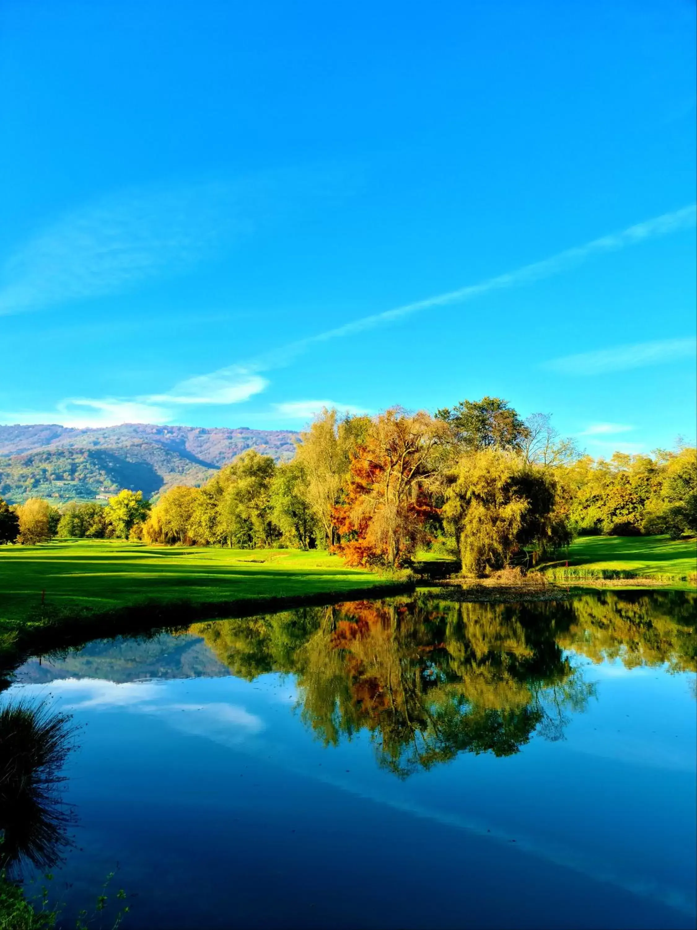 Natural Landscape in Asolo Golf Club