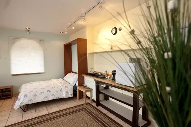 Bluffview Lodge - 1 queen bed & 1 twin bed (downstairs) - Room #28 in Driftwood Inn Bluffview Lodge - 1 queen bed & 1 twin bed (downstairs) - Room #28 in Driftwood Inn