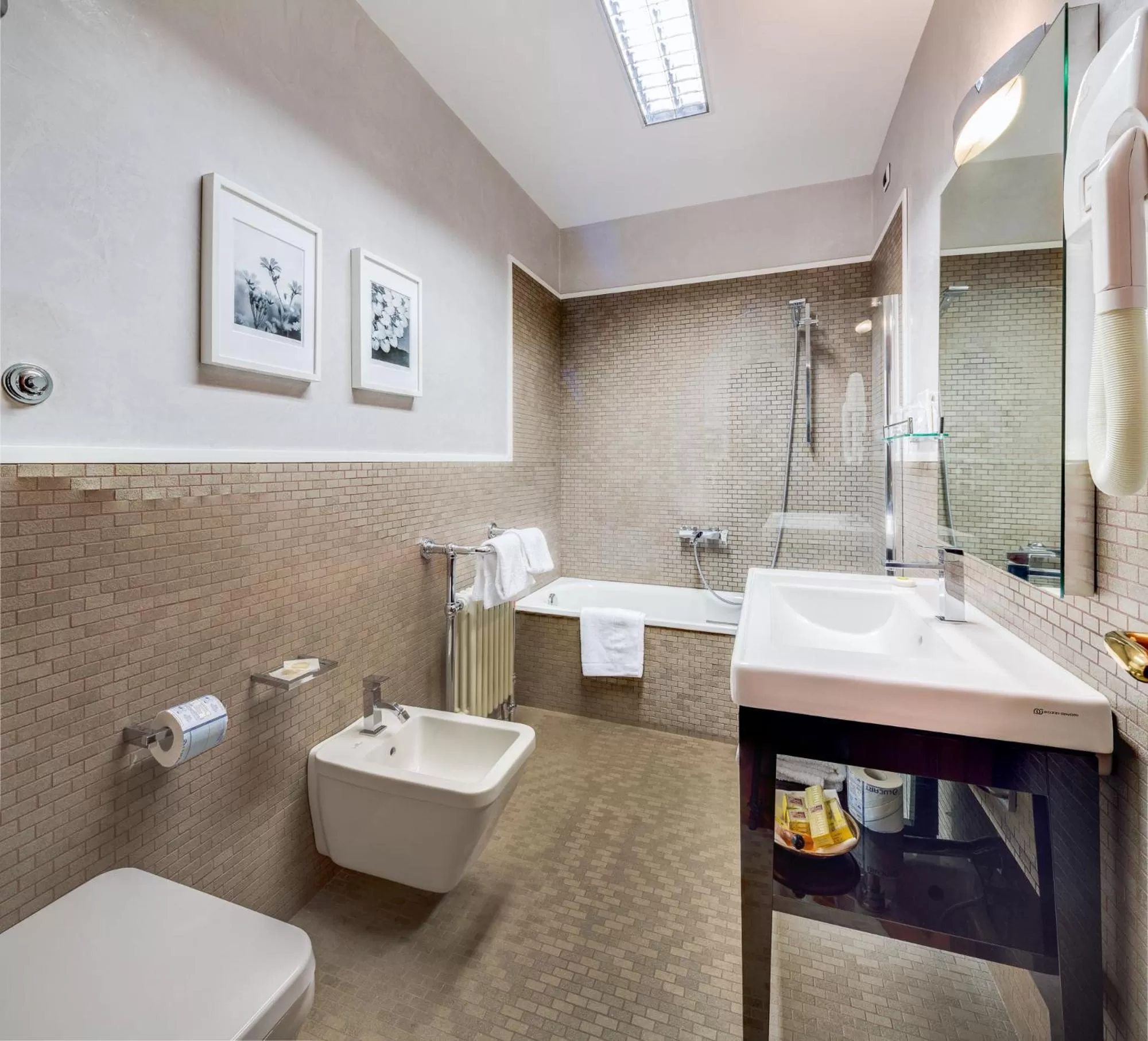 Shower in Hotel Roma