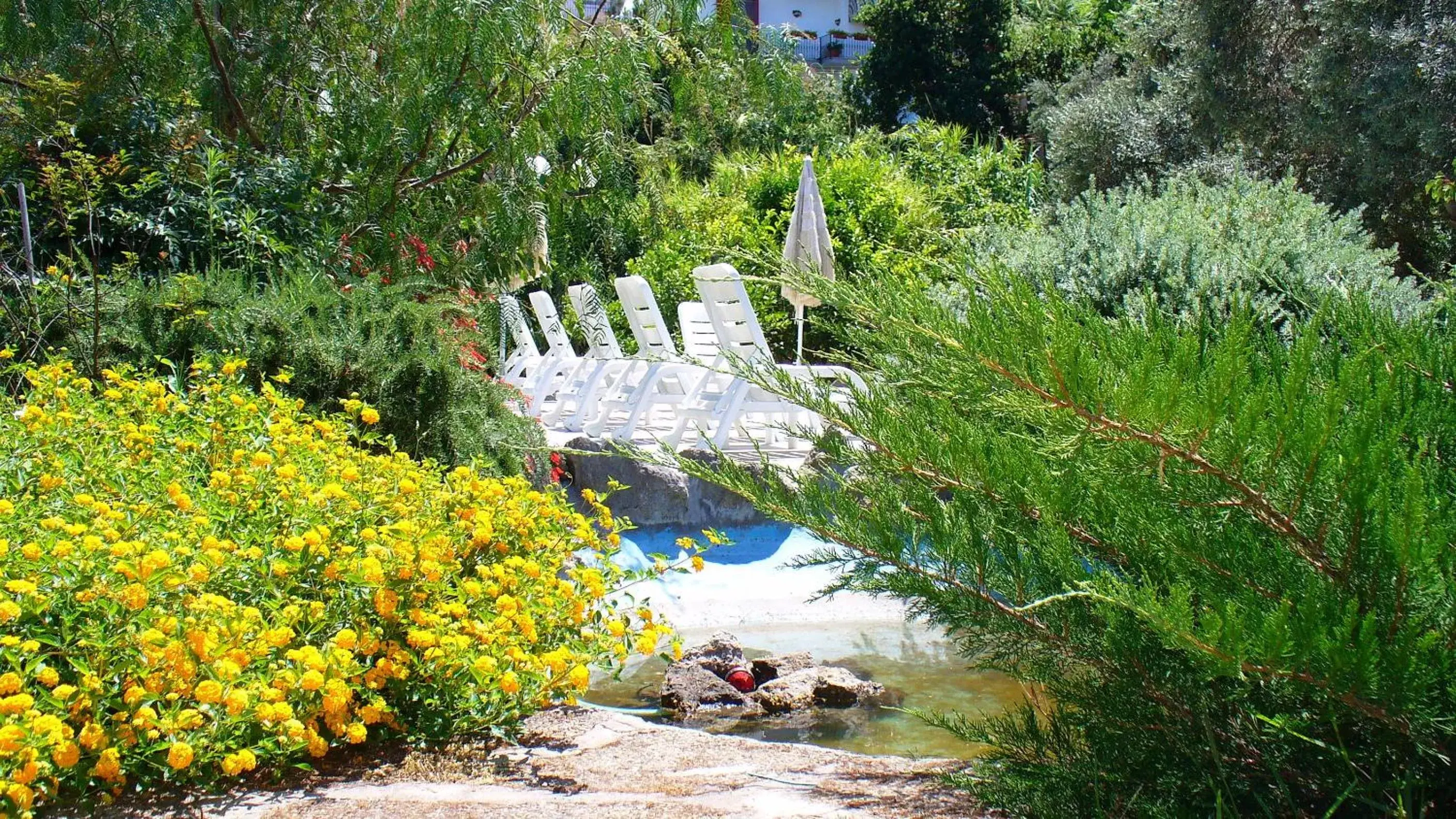 Garden in Hotel La Marticana