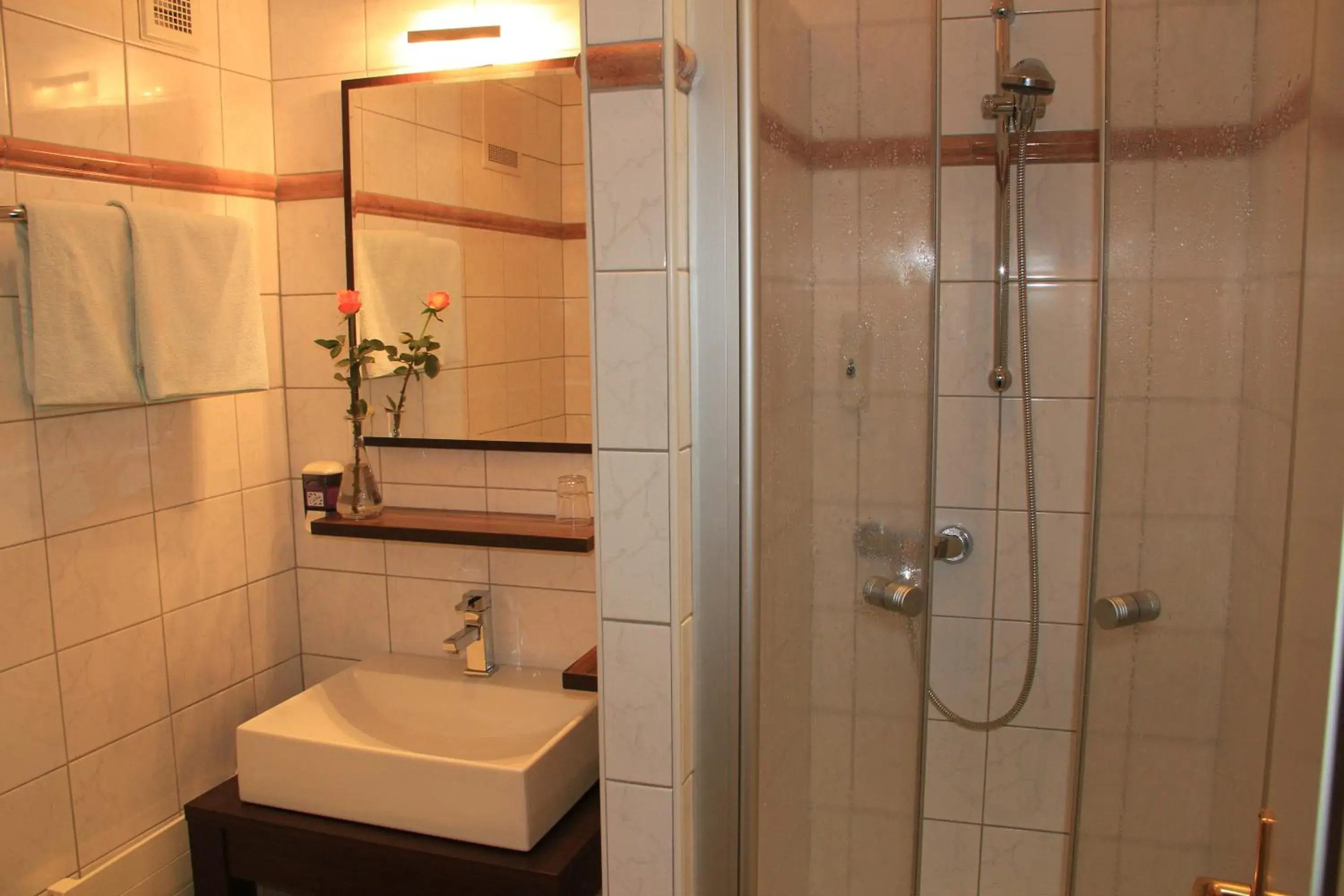 Bathroom in Hotel Apartment Auwirt