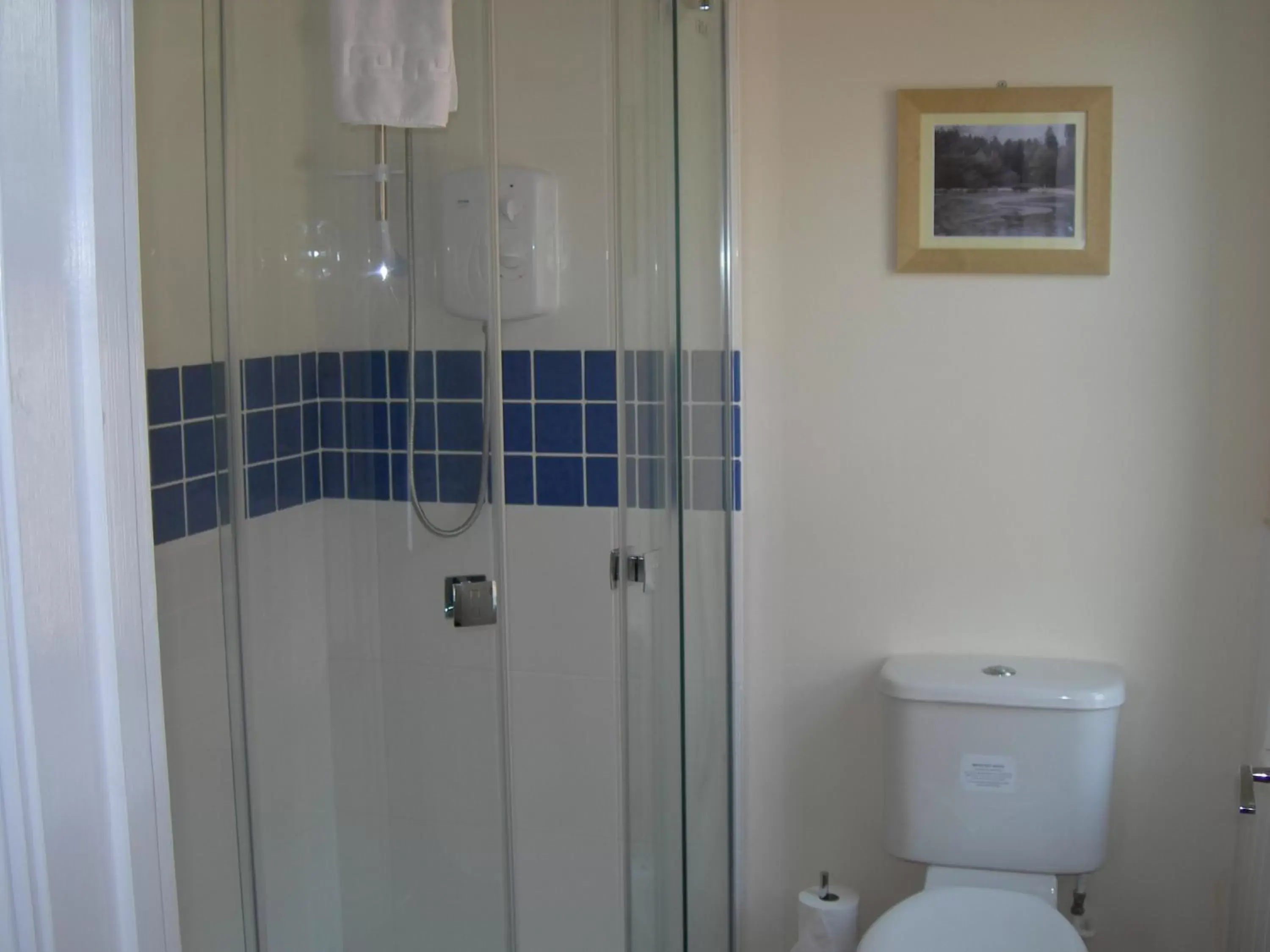 Shower, Bathroom in The Swan Hotel