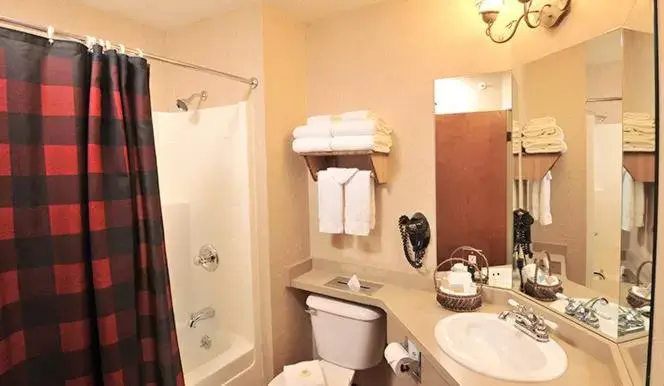 Bathroom in Boarders Inn & Suites by Cobblestone Hotels in Waukon