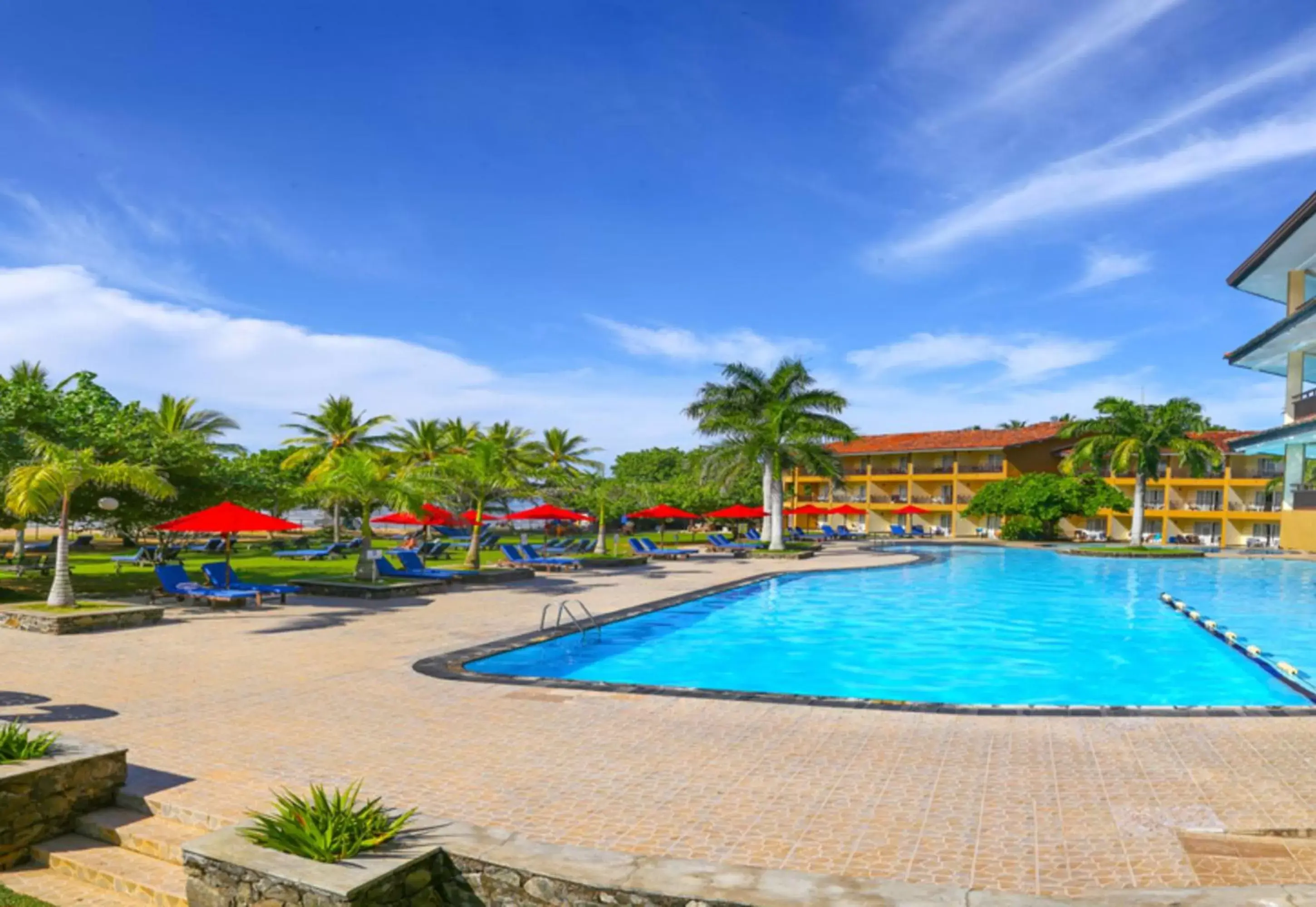 Swimming Pool in The Palms