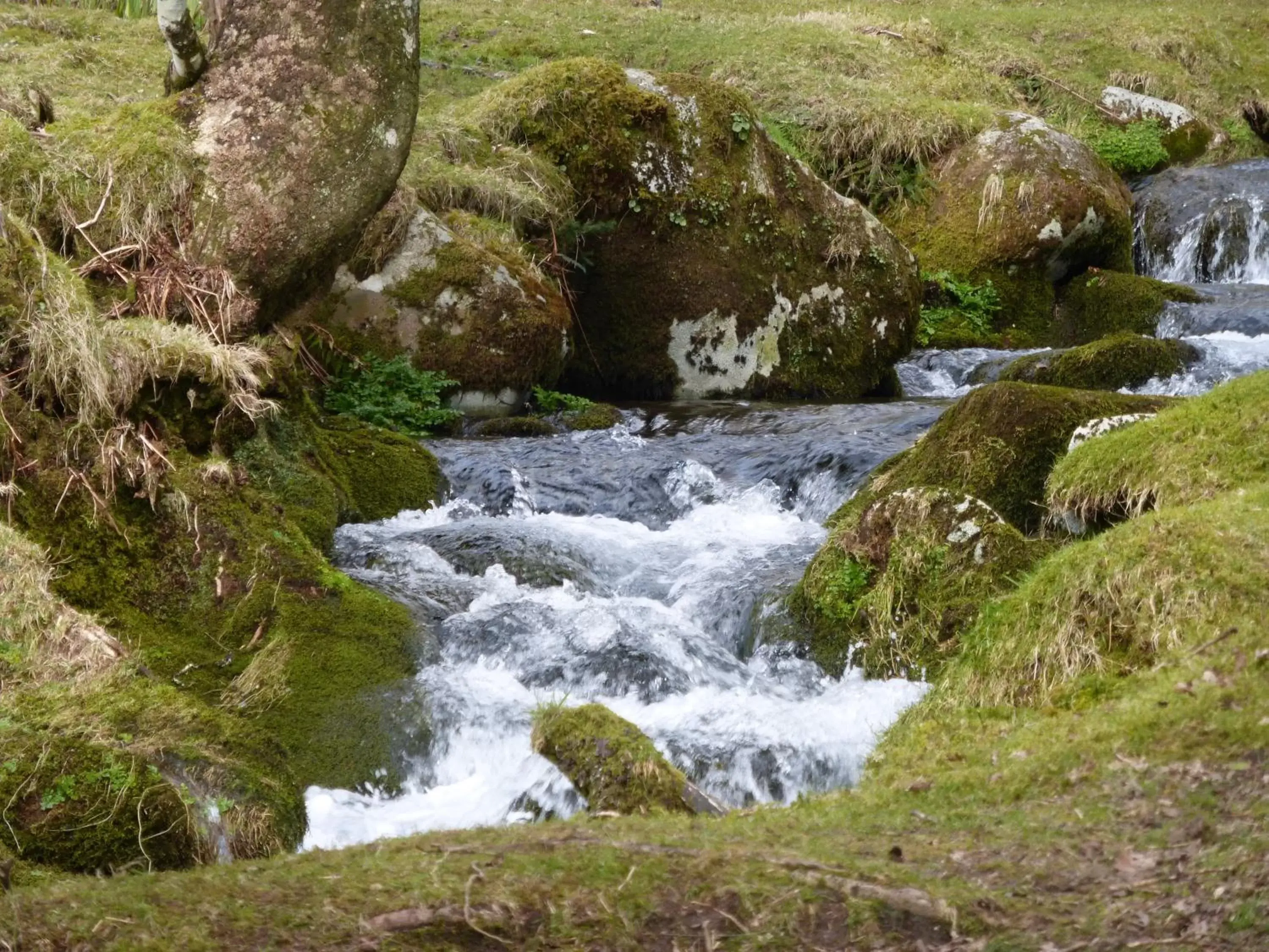 Natural Landscape in Barnabas House