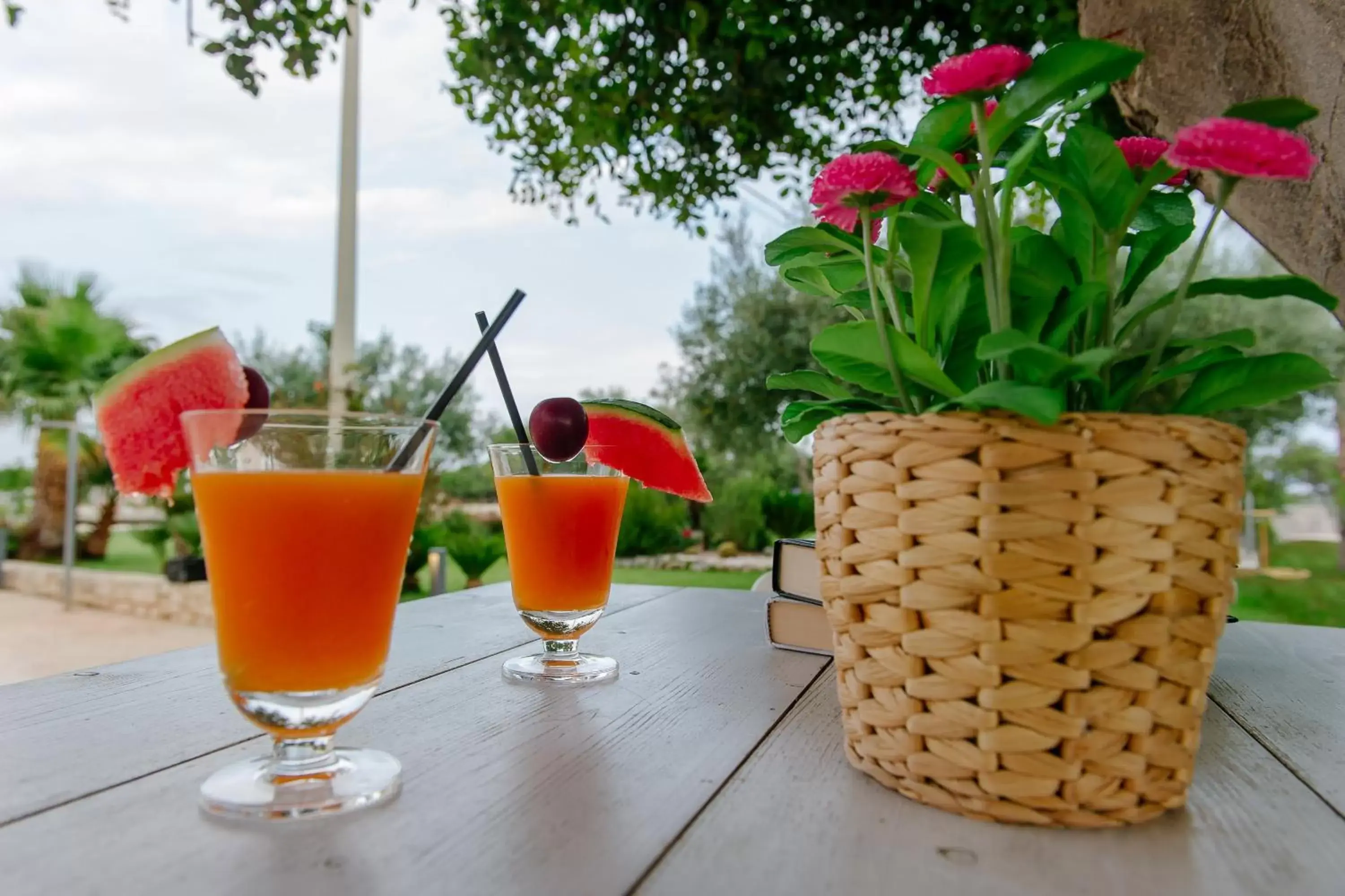 Garden view in Barokhouse