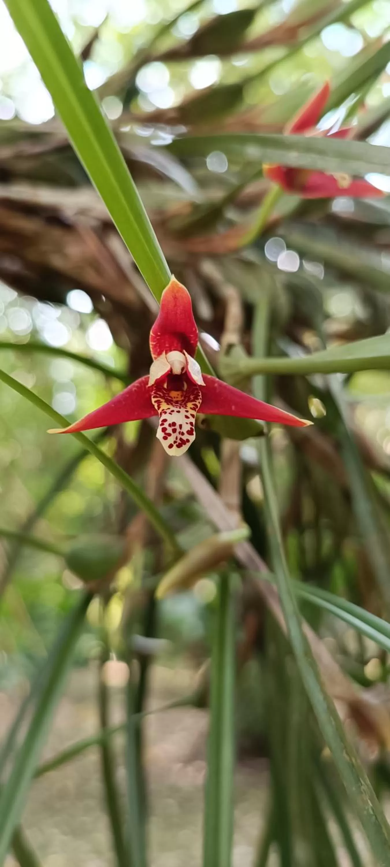 Day in Sun Creek Lodge