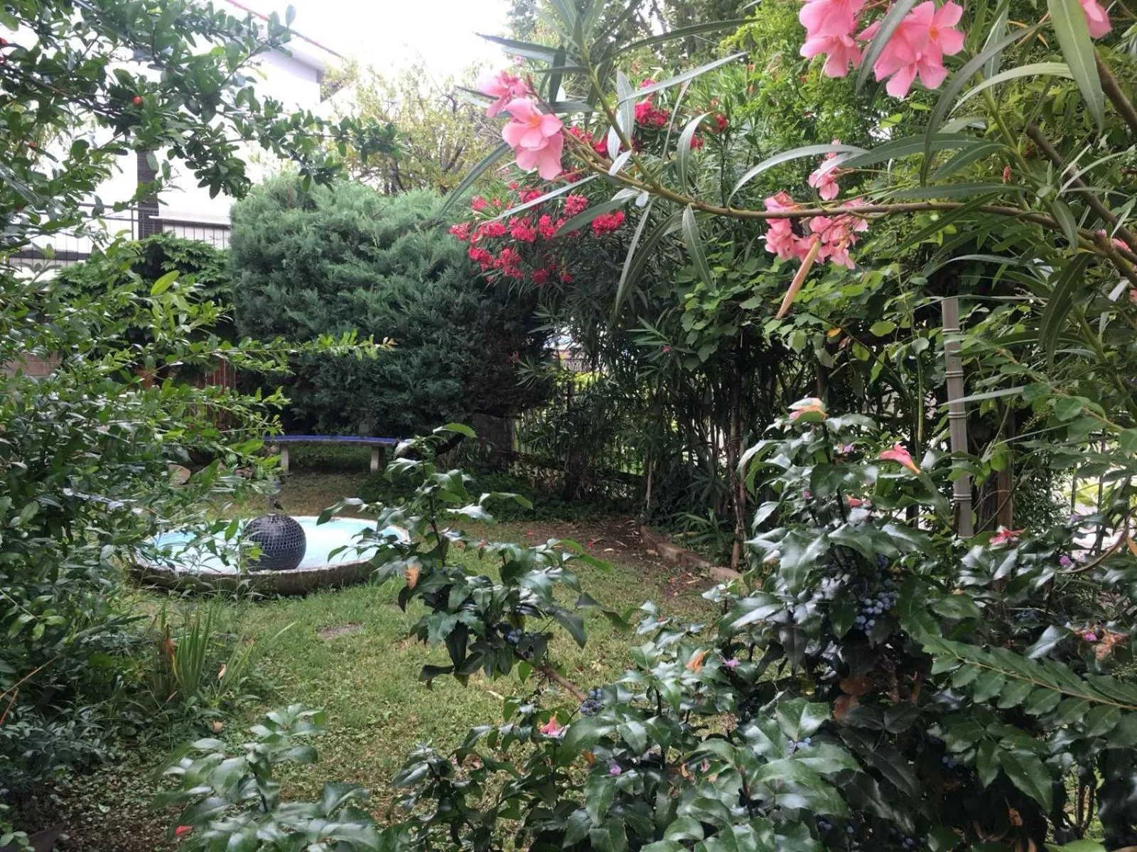 Alla Rotonda dai Santi