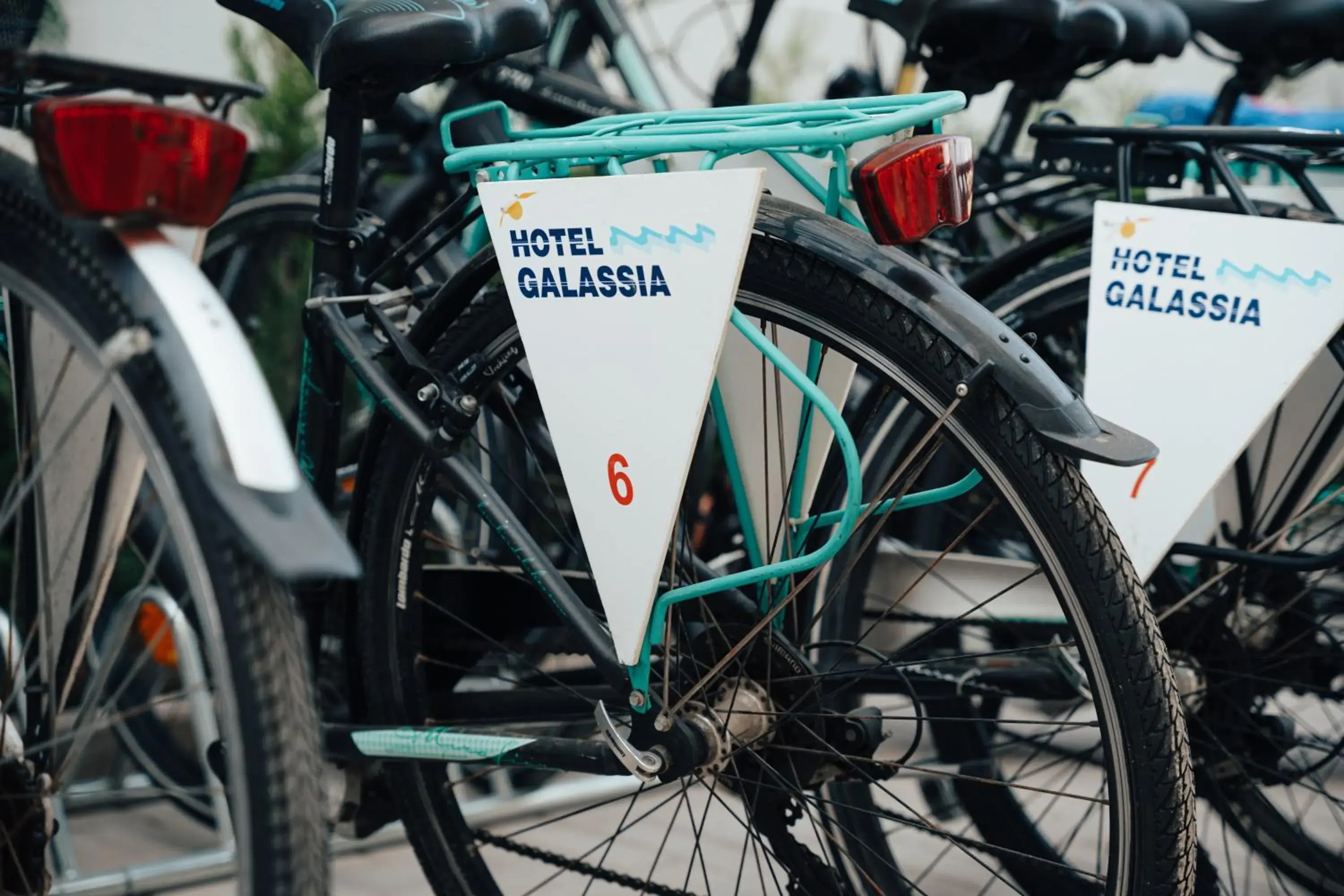 Activities, Biking in Hotel Galassia Suites & Spa