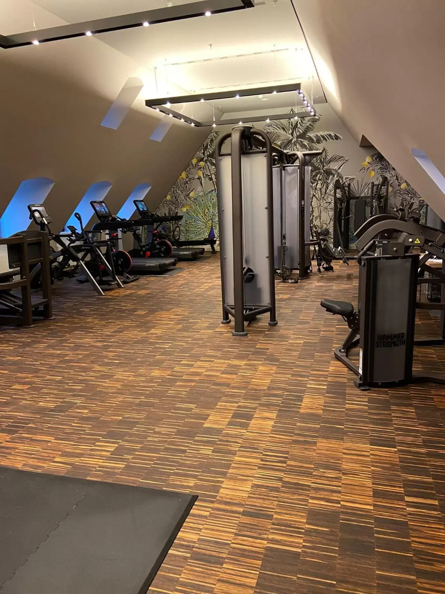 Fitness centre/facilities, Fitness Center/Facilities in Townhouse Dresden