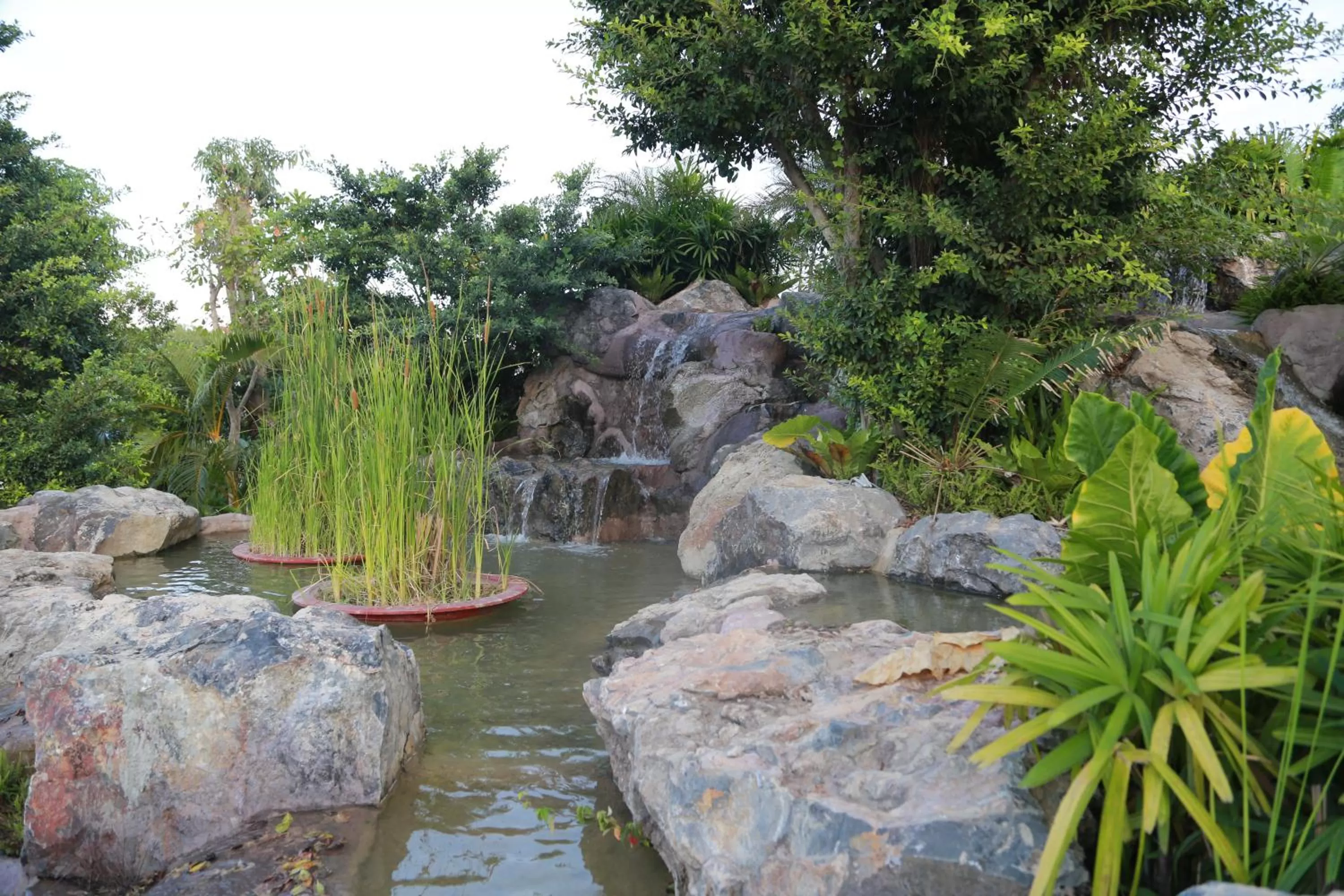 Garden in Try Palace Resort Kep