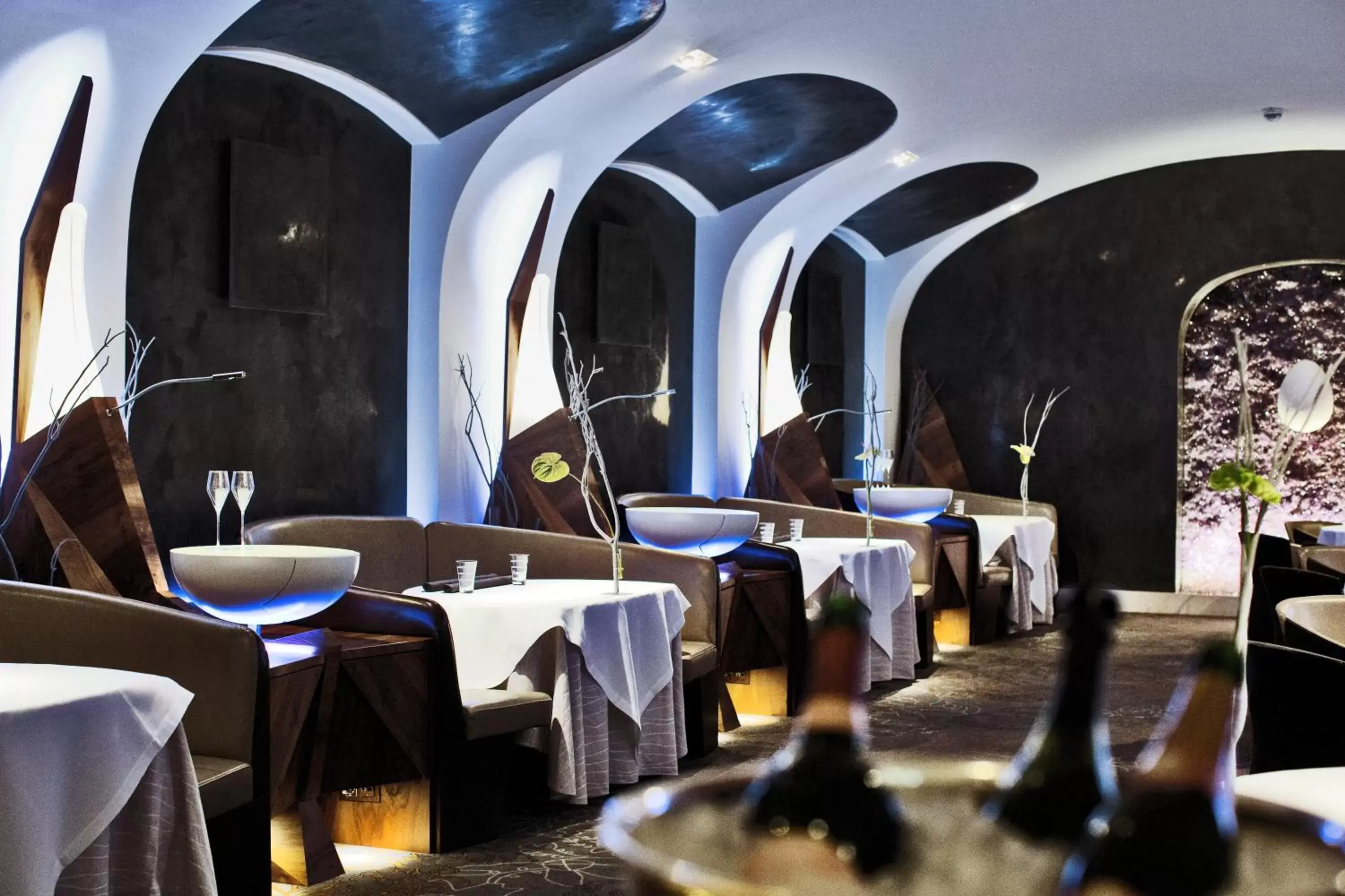 Restaurant/places to eat in Palais Coburg Hotel Restaurant/places to eat in Palais Coburg Hotel