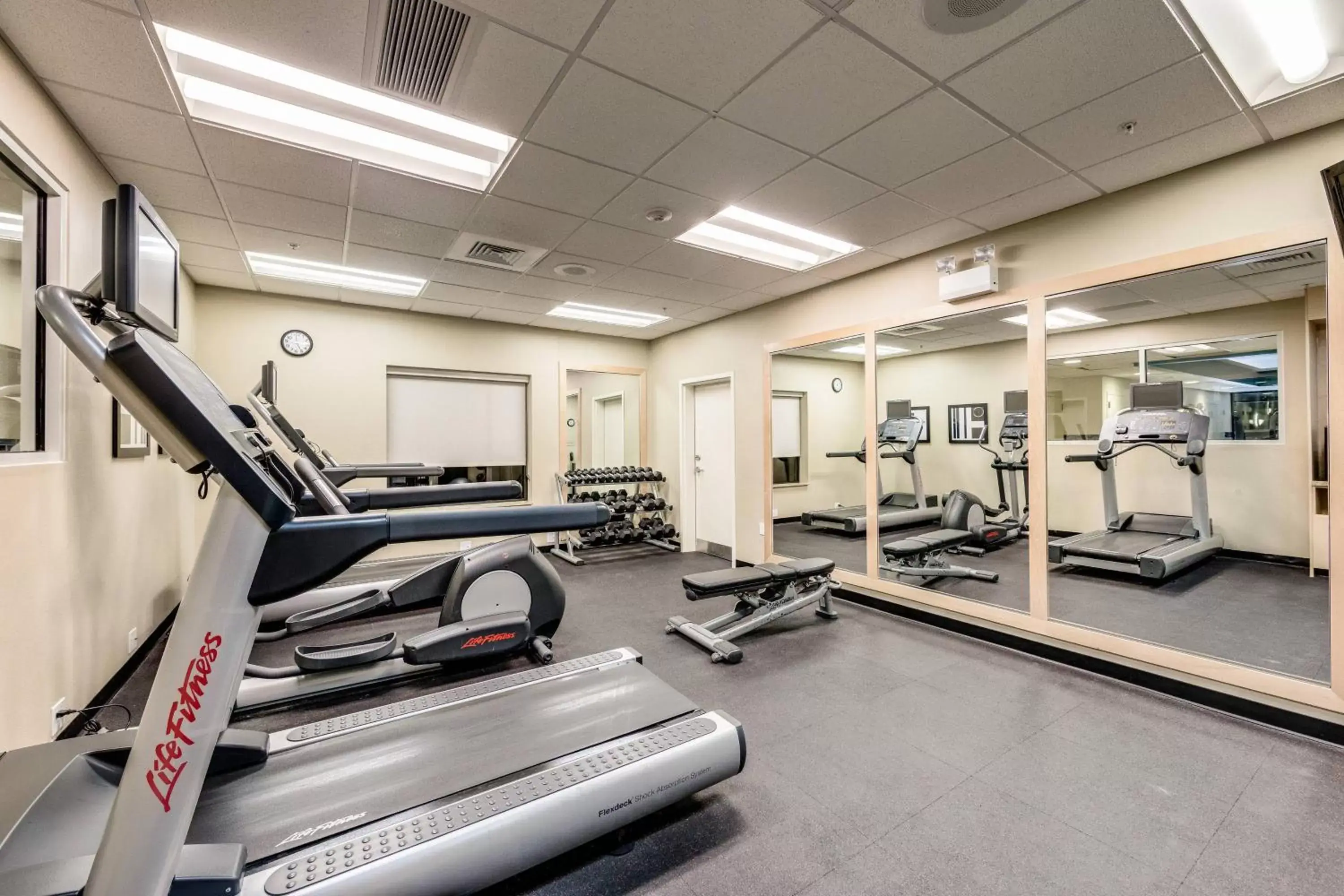 Fitness centre/facilities, Fitness Center/Facilities in TownePlace Suites Ann Arbor