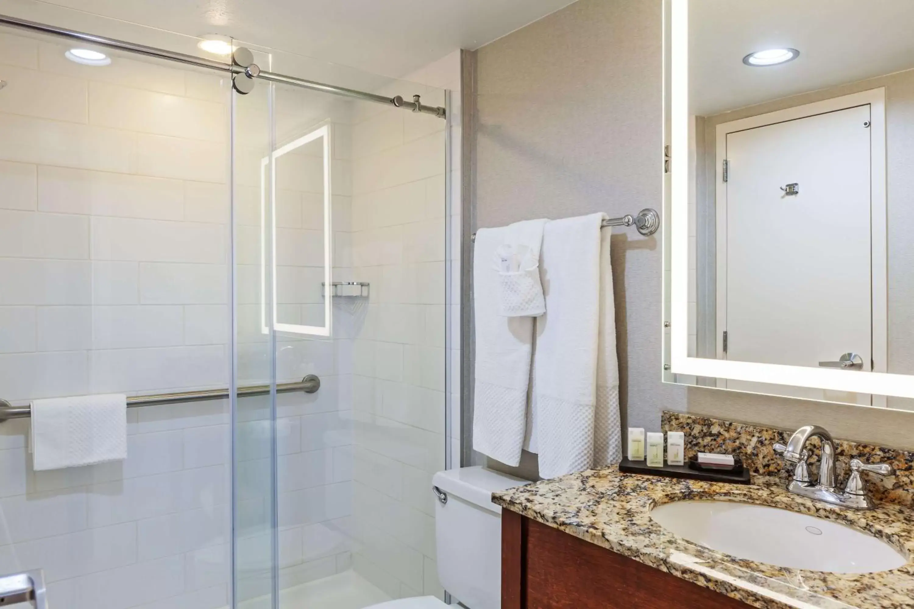 Bathroom in Embassy Suites by Hilton Dallas Market Center