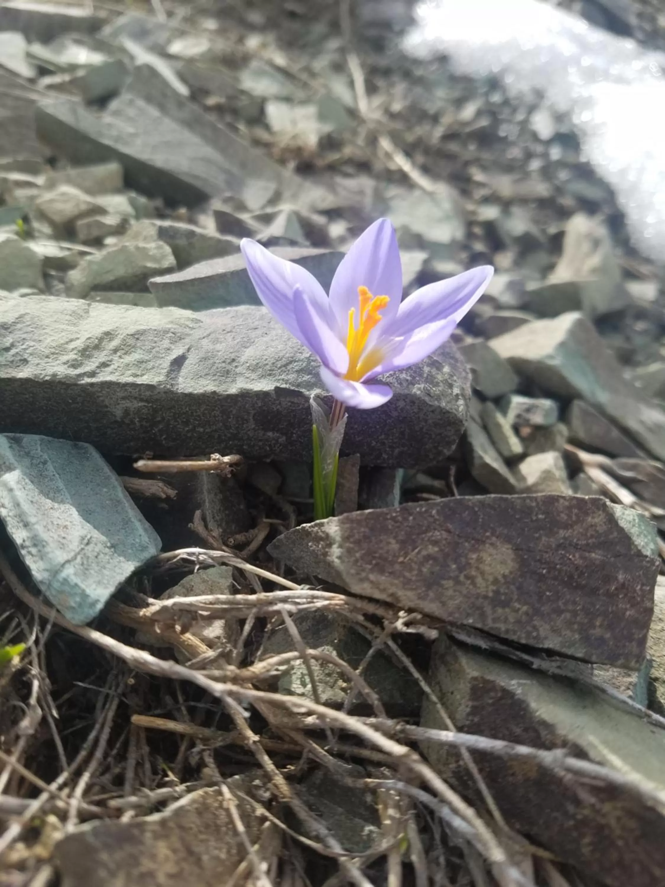 Mountain view in Karine B&B