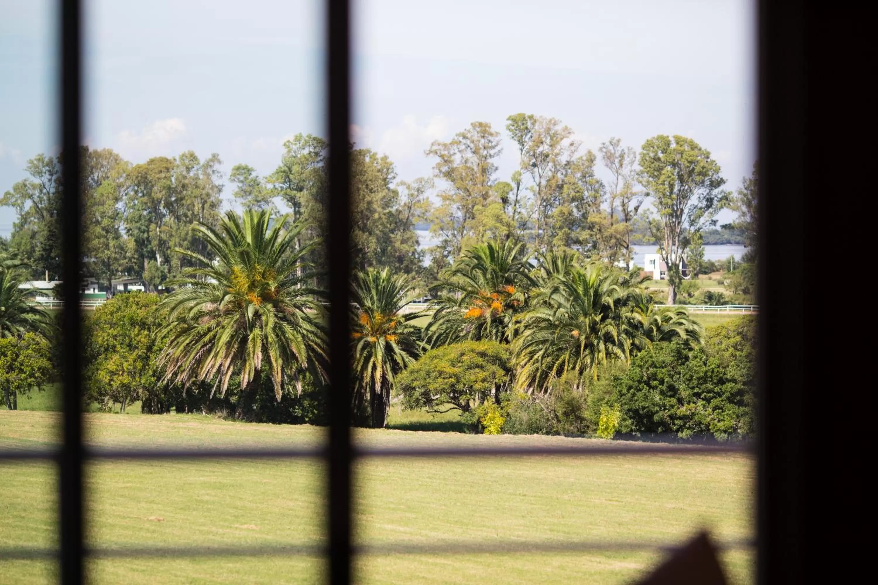 Lomas del Real Aparthotel