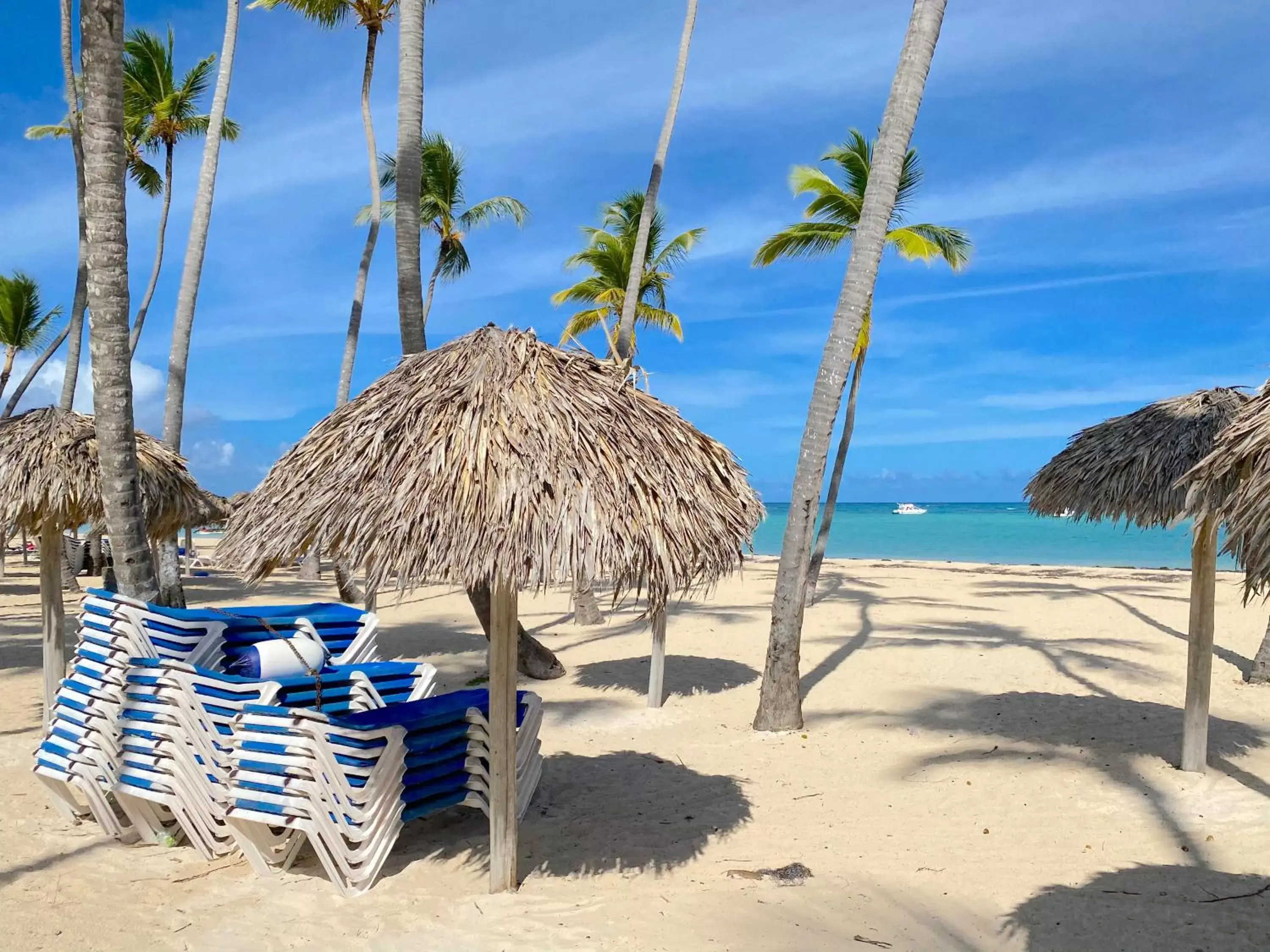 Beach in TROPICAL VILLAGE playa LOS CORALES