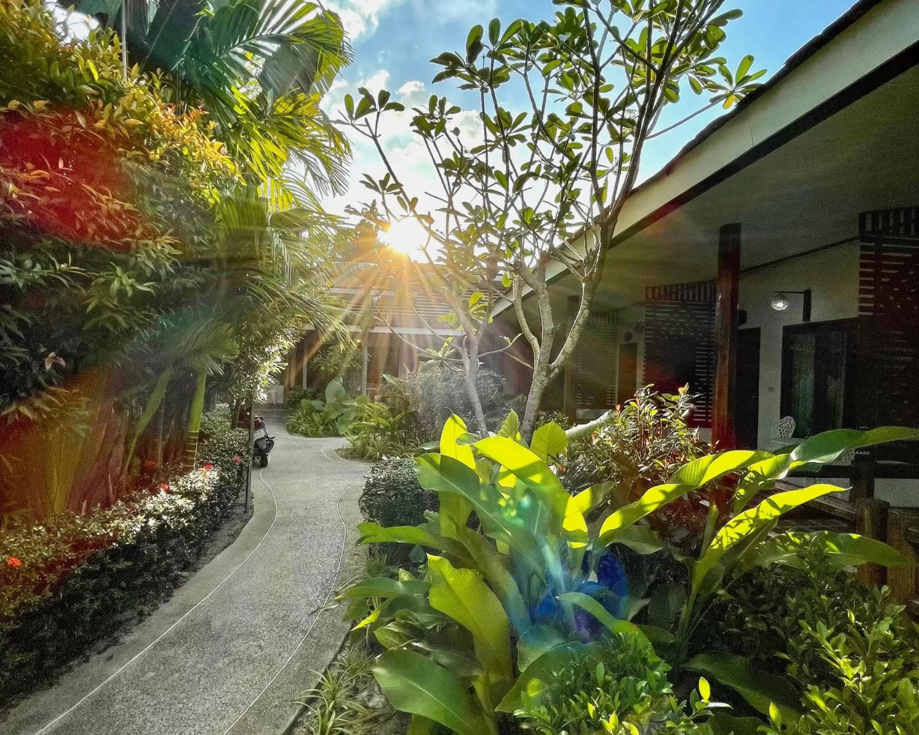 Garden view, Garden in Phuvara Boutique Aonang