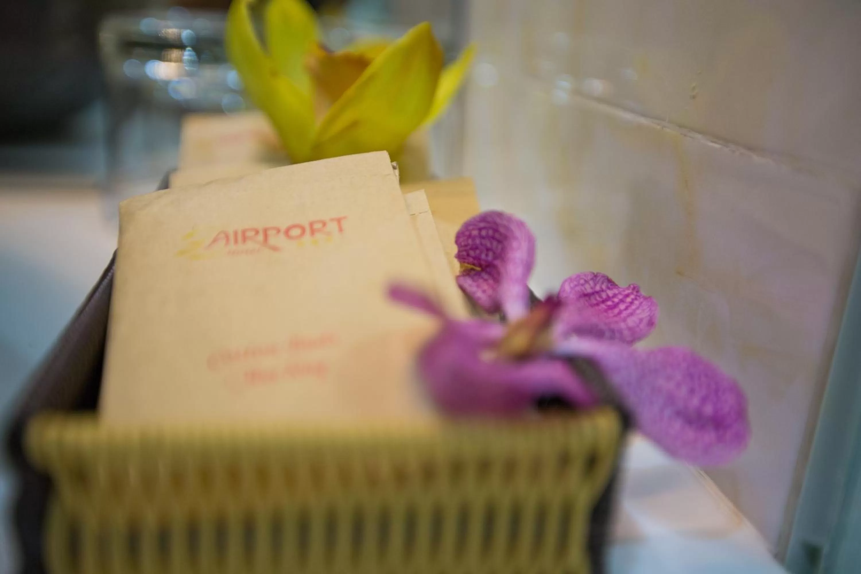 Other in The Airport Hotel