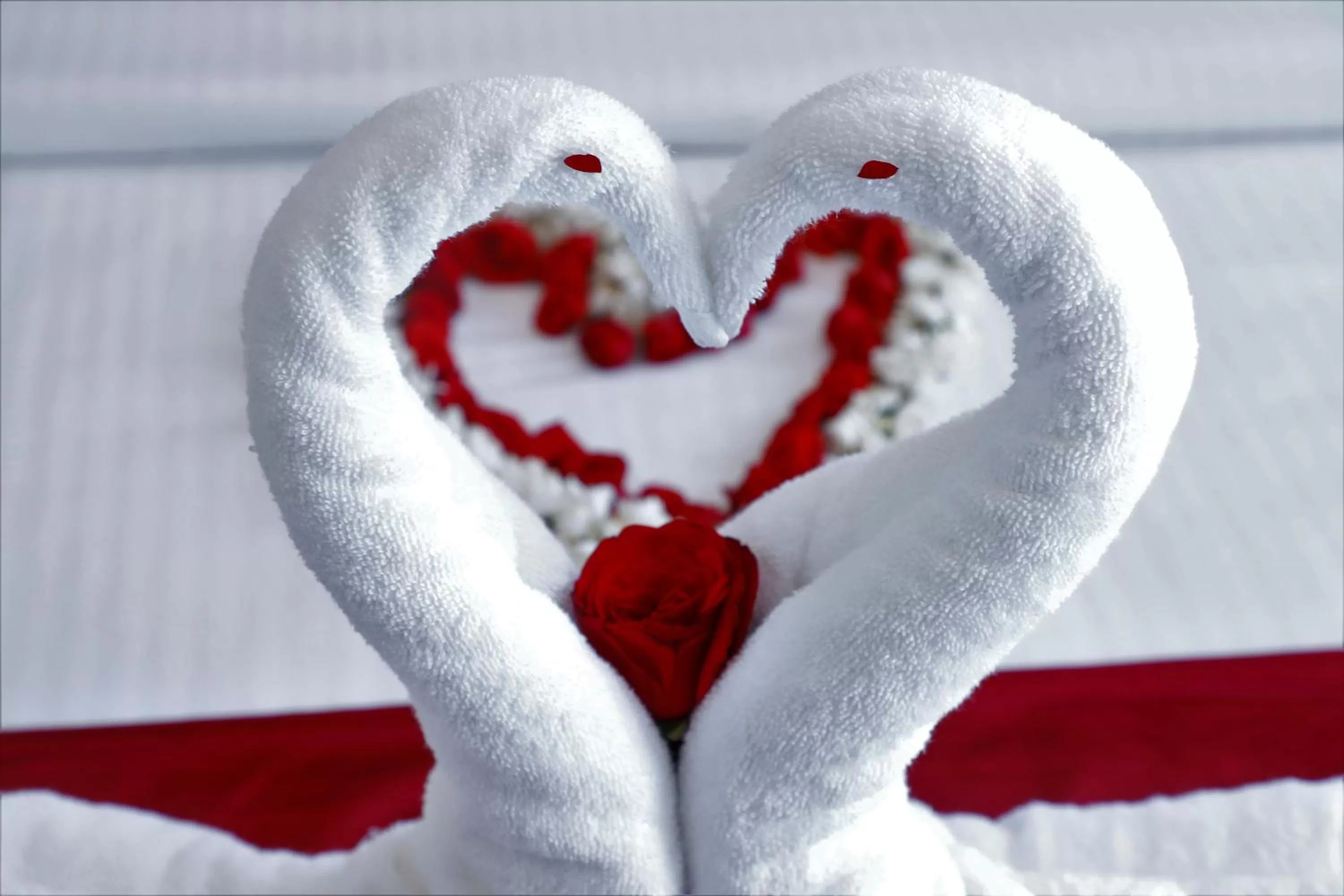 Decorative detail in Casillda Munnar