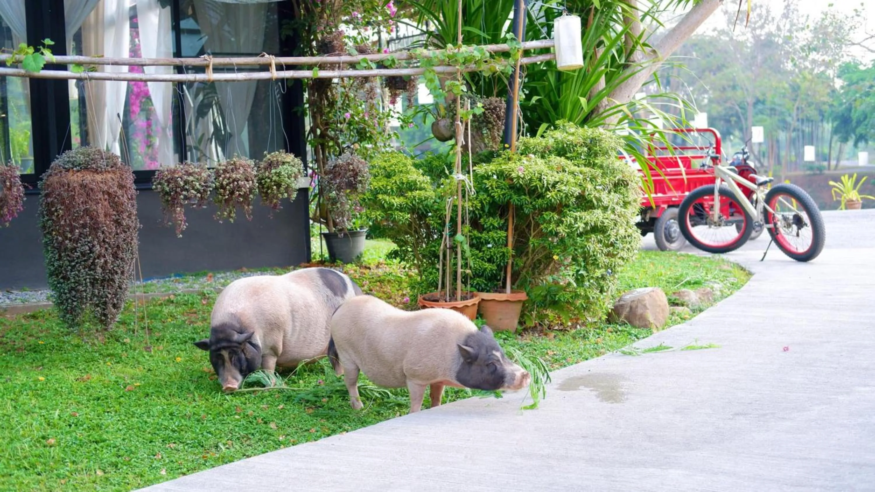 Naturalpark Resort De Wangthong