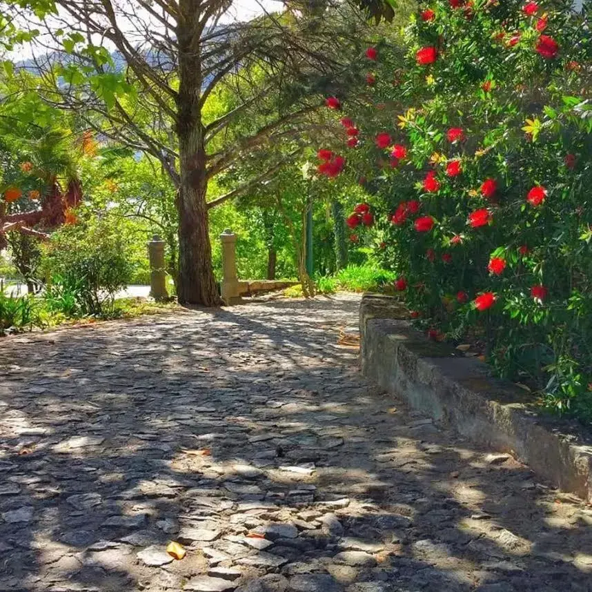 Natural landscape in Quinta da Ermida - Turismo de Habitacao