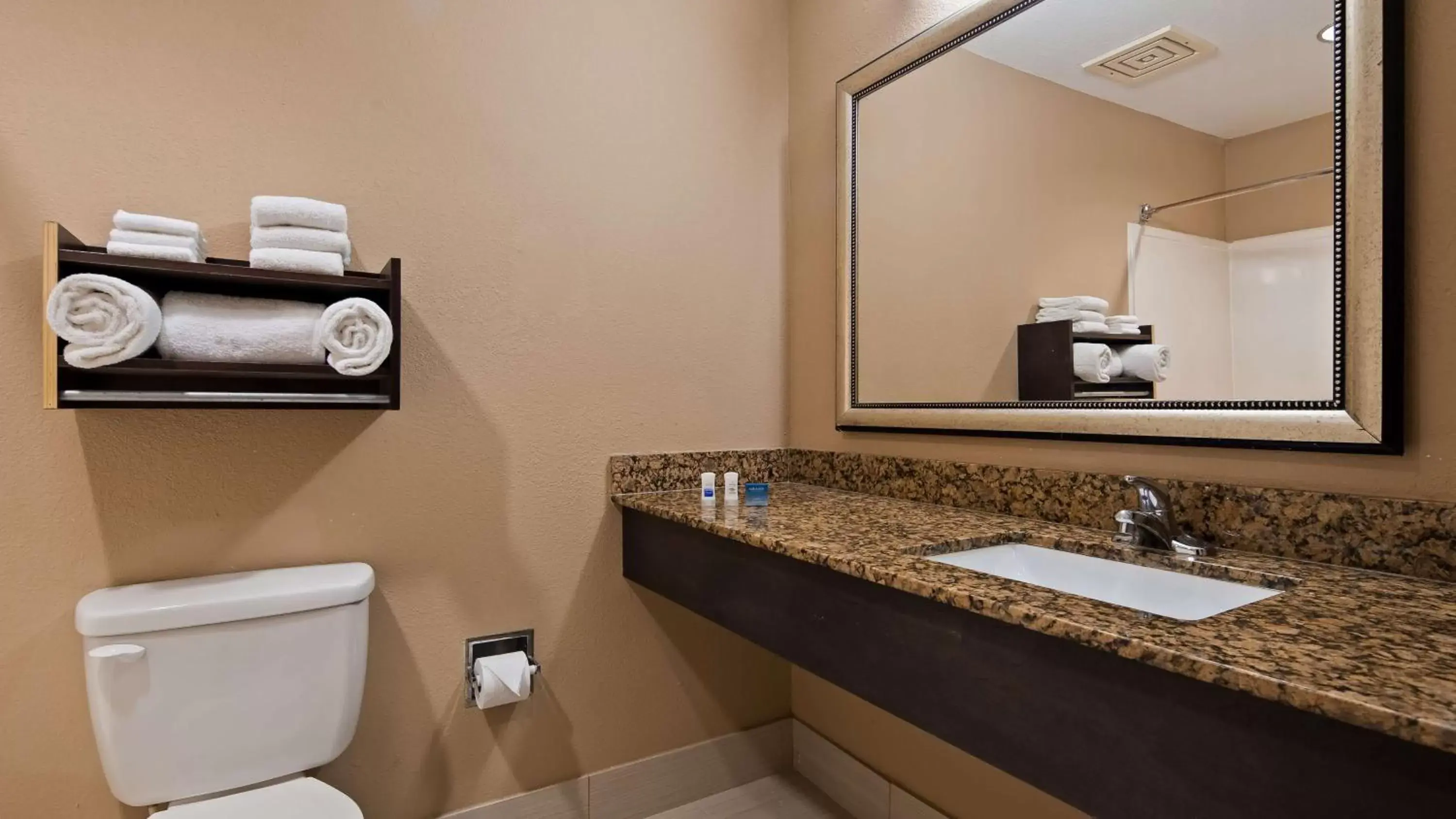 Bathroom in Best Western Bayou Inn and Suites