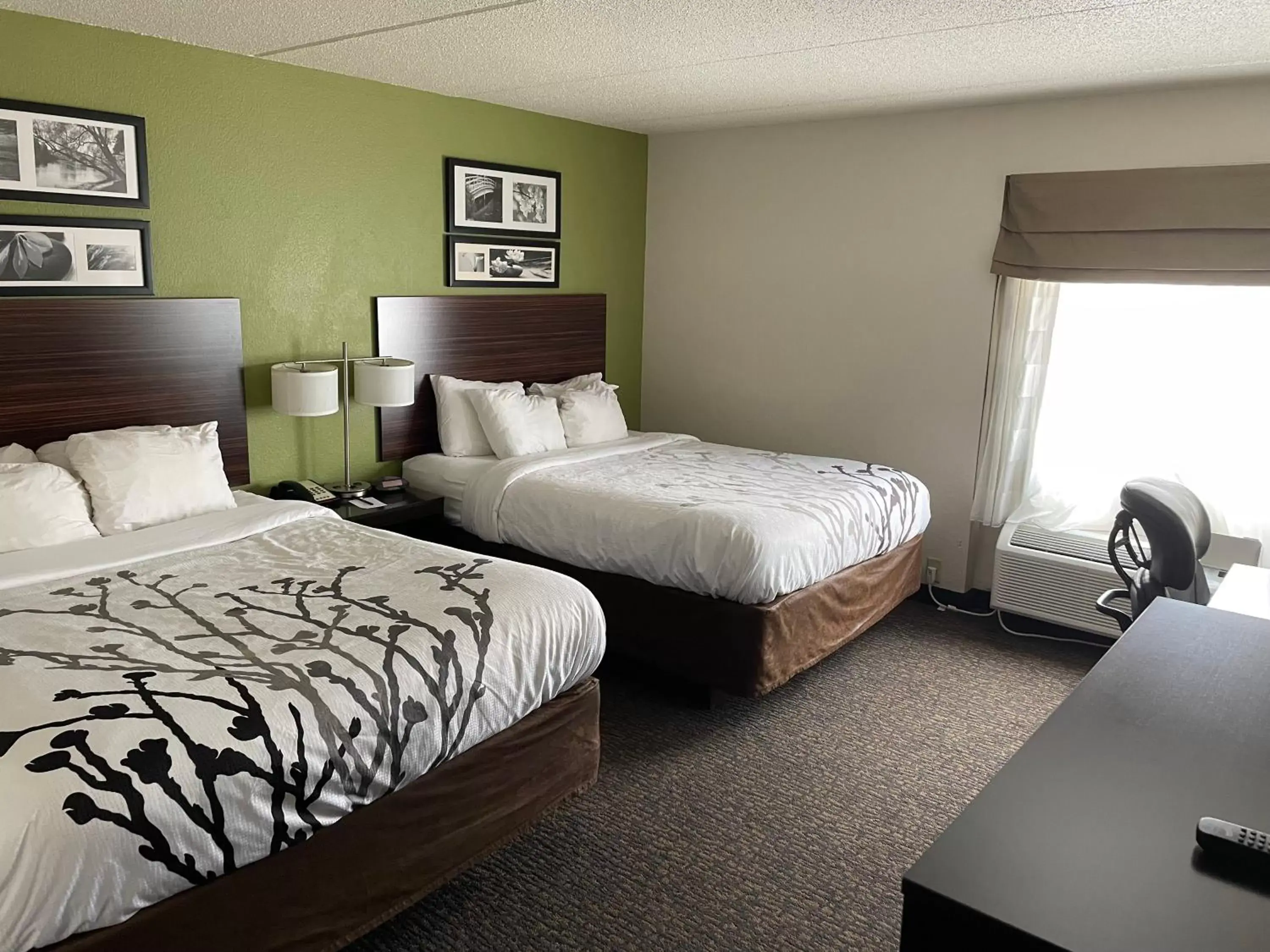 Bedroom, Bed in Sleep Inn & Suites near Sports World Blvd