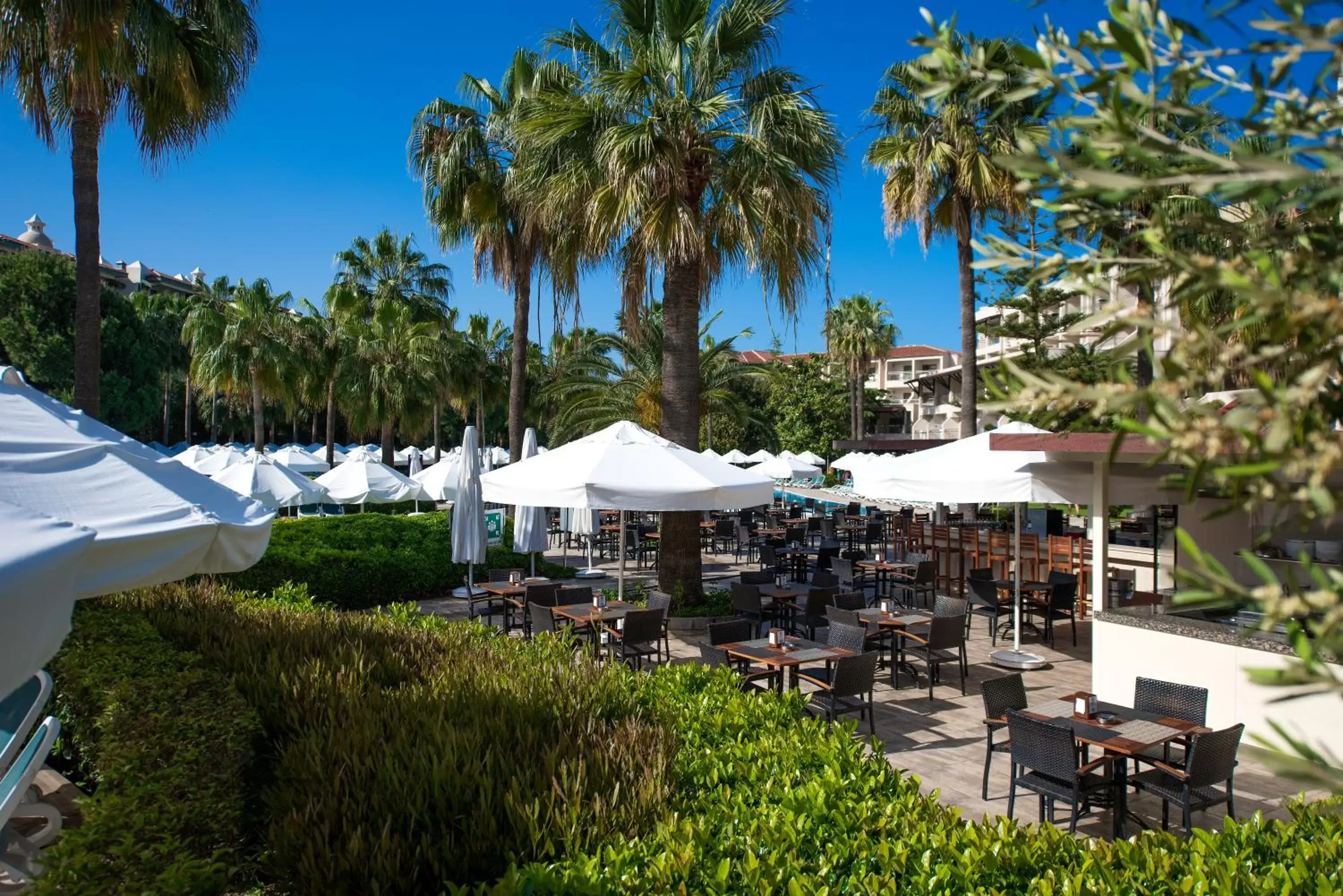 Restaurant/places to eat in Barut Hemera - Ultra All Inclusive Restaurant/places to eat in Barut Hemera - Ultra All Inclusive