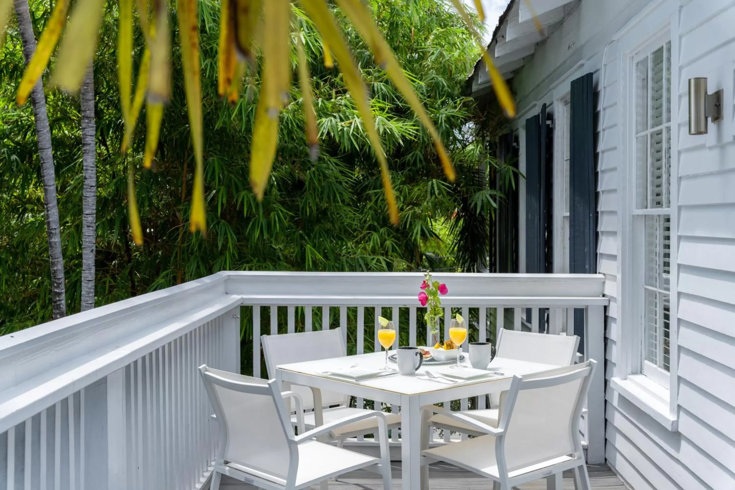 Balcony/Terrace in Alexander's Gay Lesbian Guesthouse (Adult Only 21+)