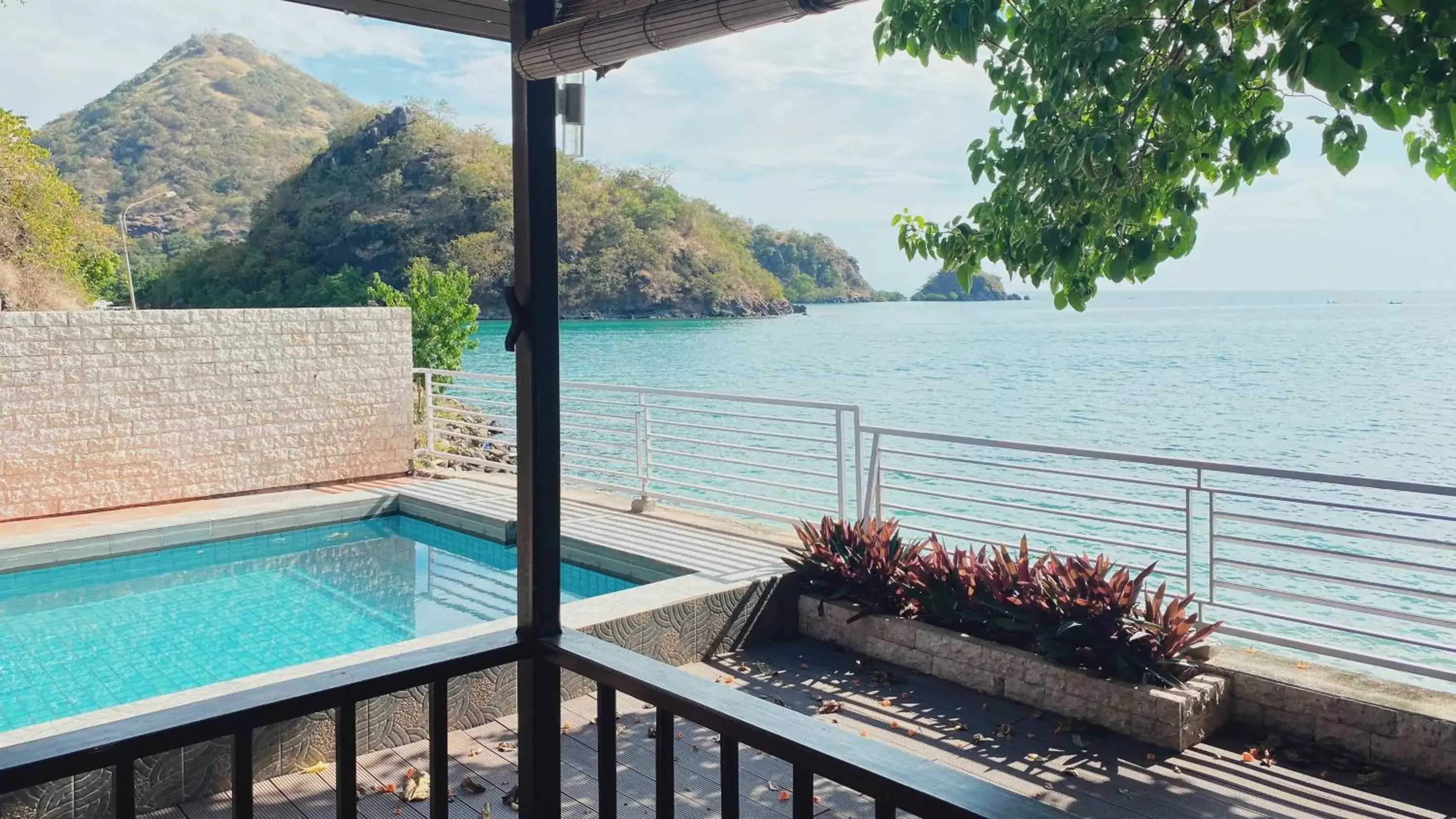 Natural landscape, Pool View in Sylvia Beach Villa