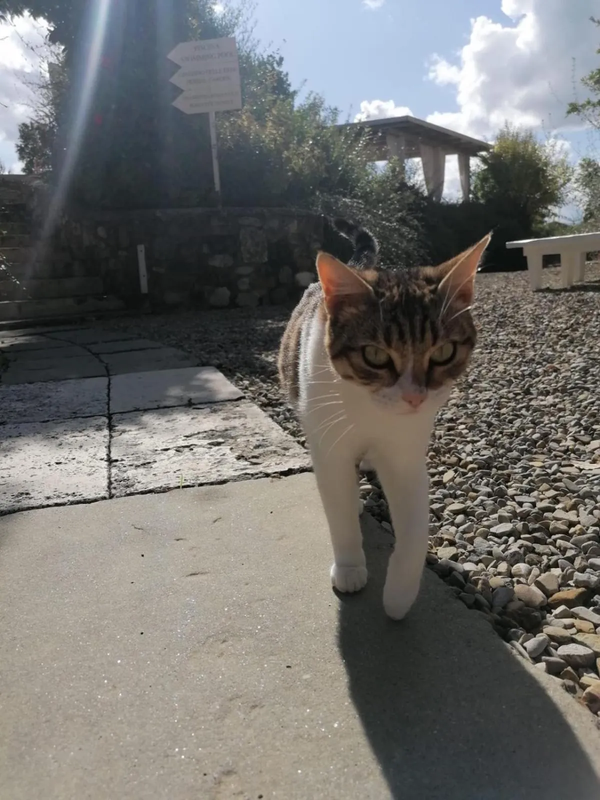 Pets in Hotel Borgo Di Cortefreda - Place of Charme