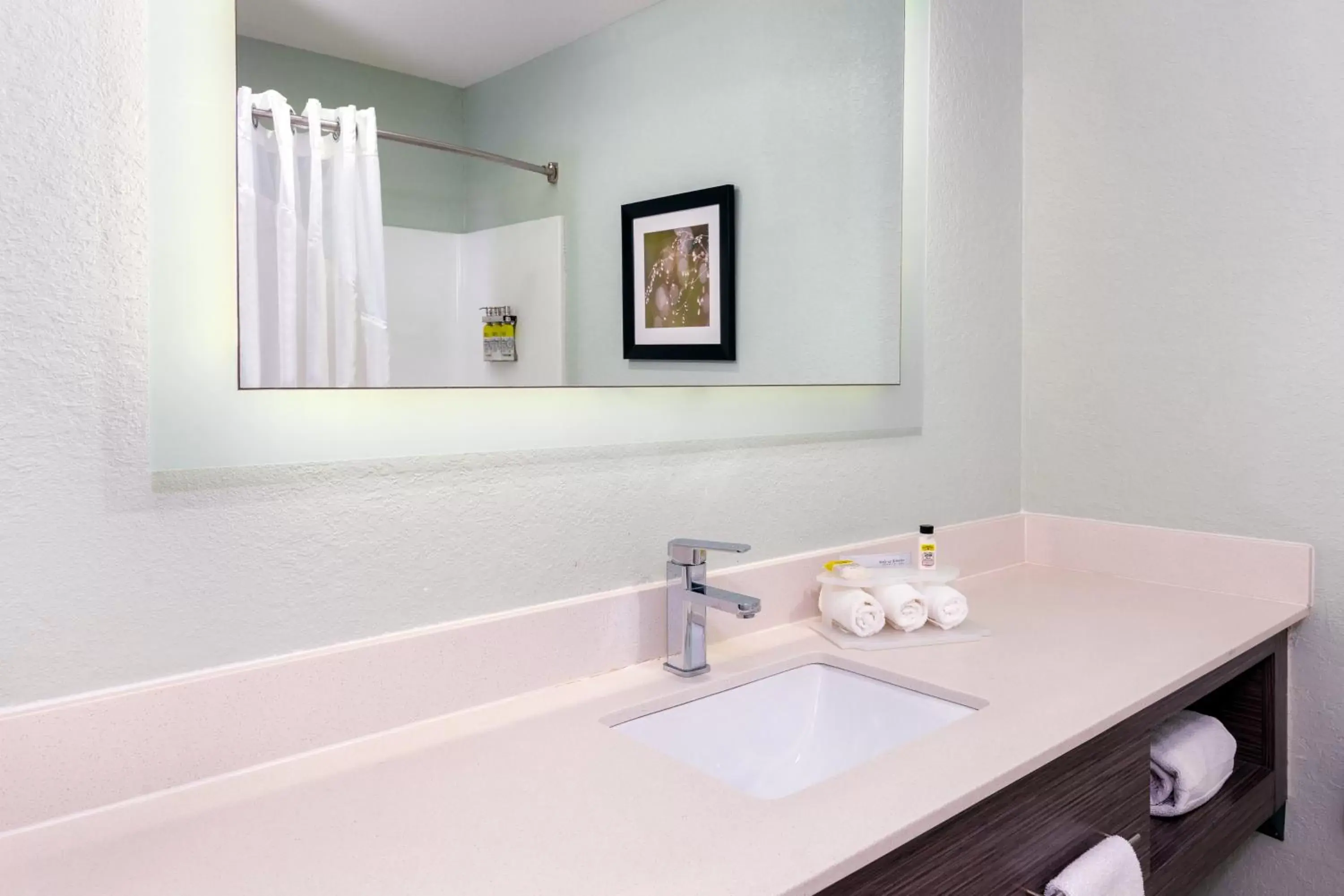 Bathroom in Holiday Inn Express Hotel & Suites Bonita Springs/Naples, an IHG Hotel