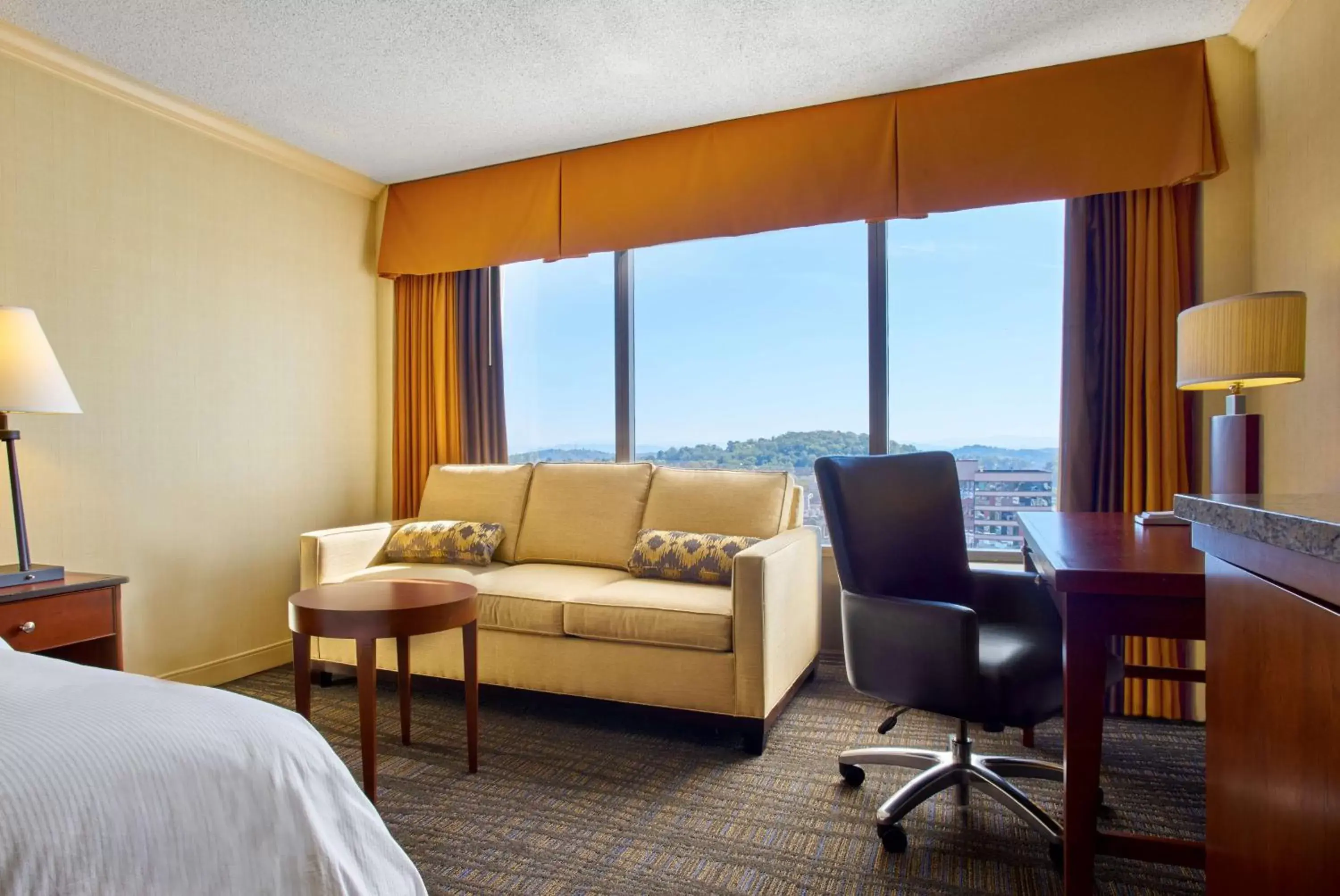 Bed, Seating Area in Hilton Knoxville