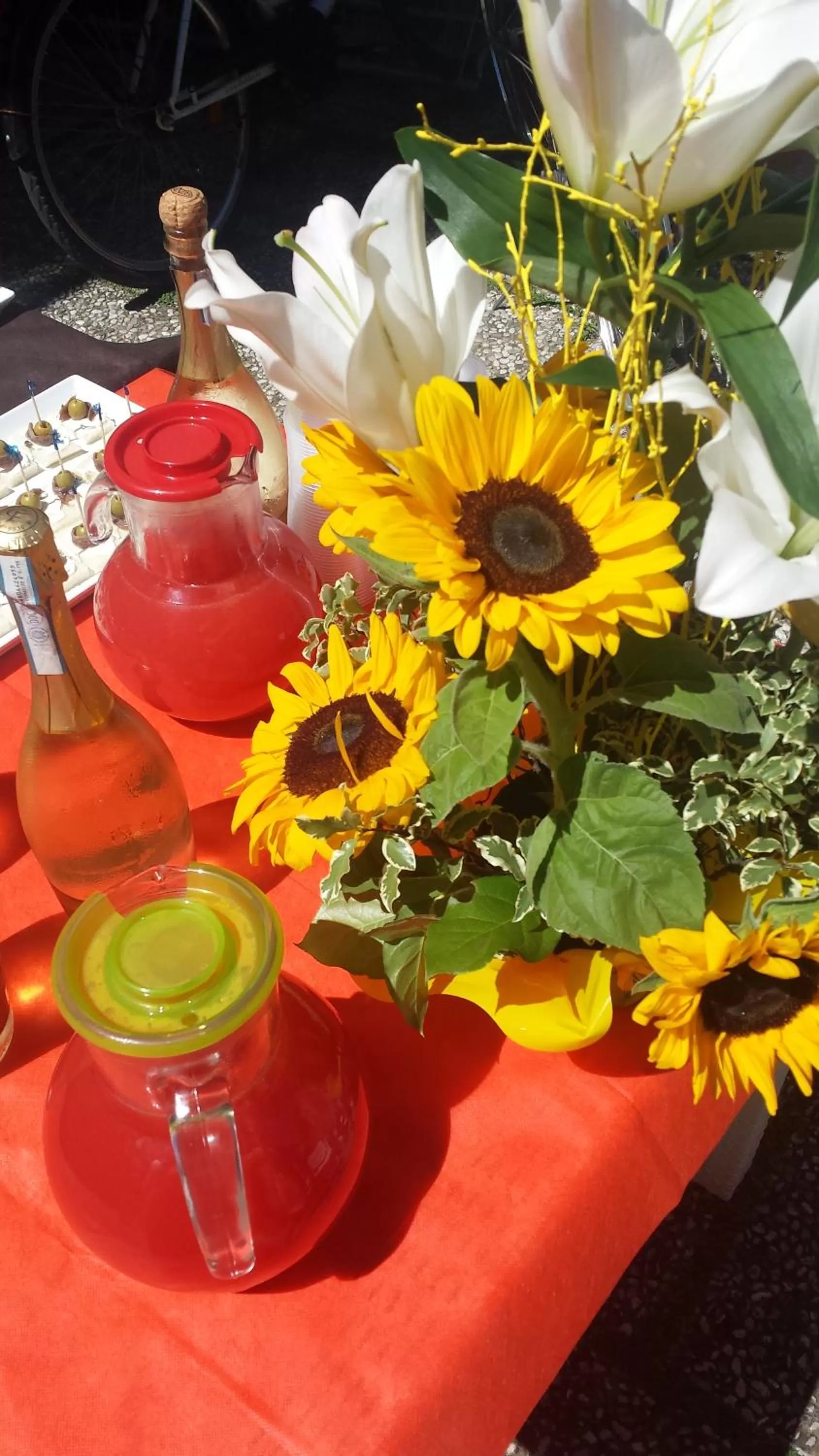 Garden in Hotel Amicizia