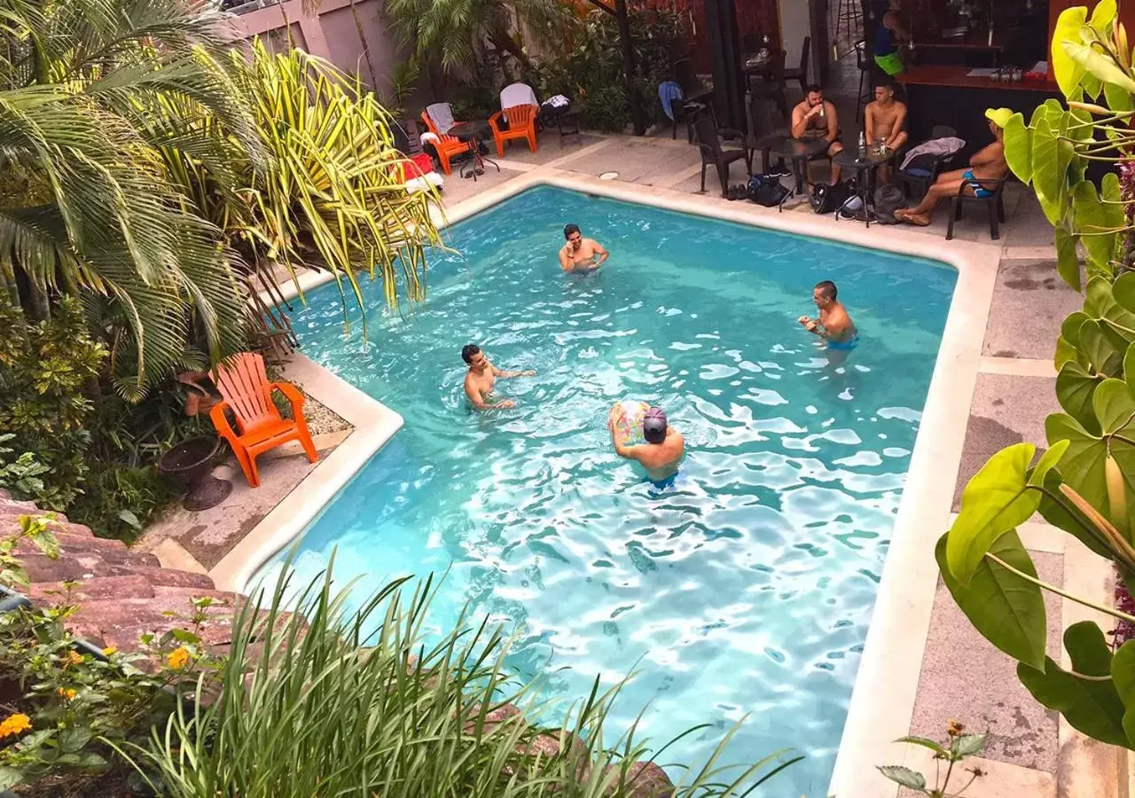 Pool view, Swimming Pool in Colours Oasis Resort LGTBIQ Plus Property